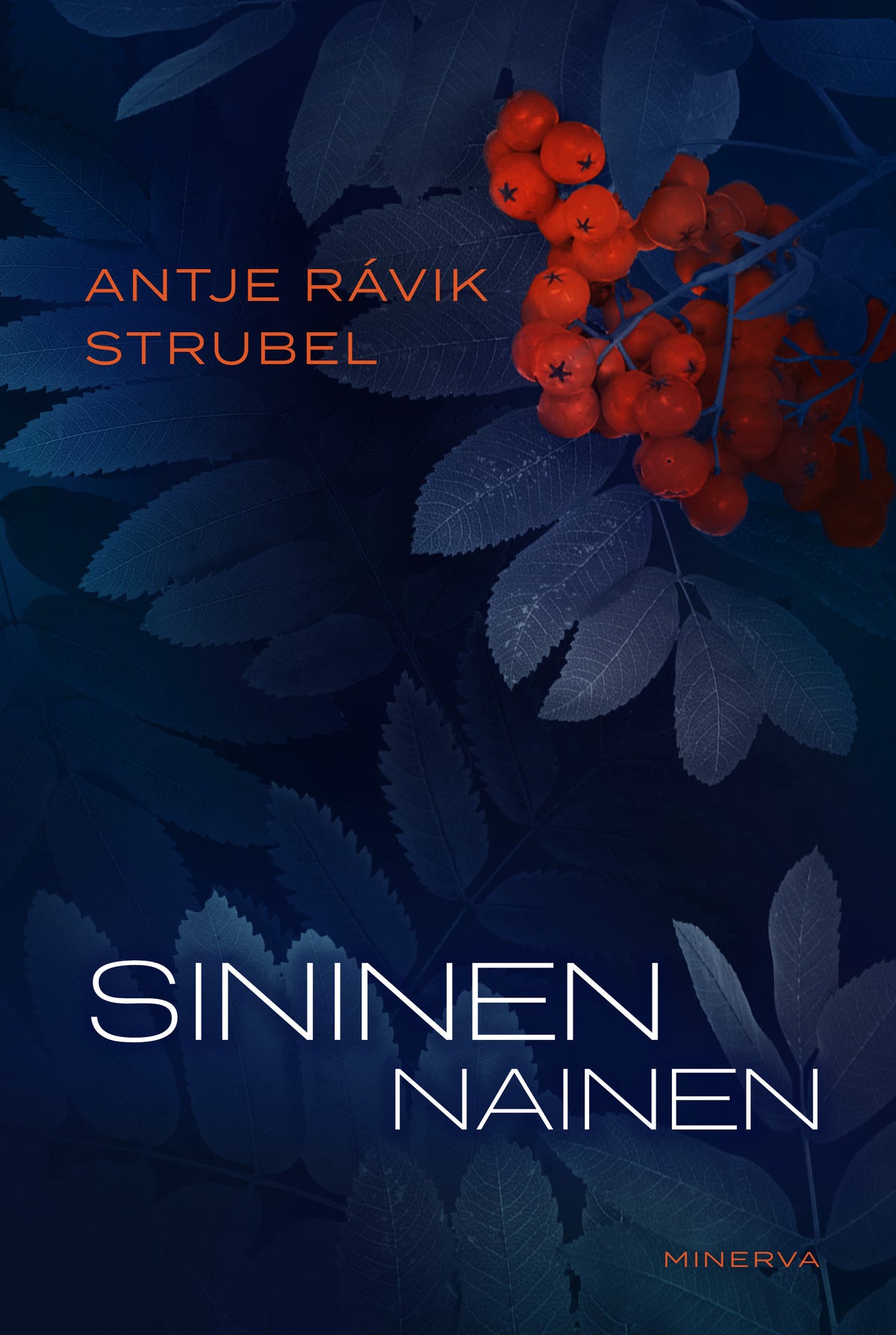 Sininen nainen – E-bok