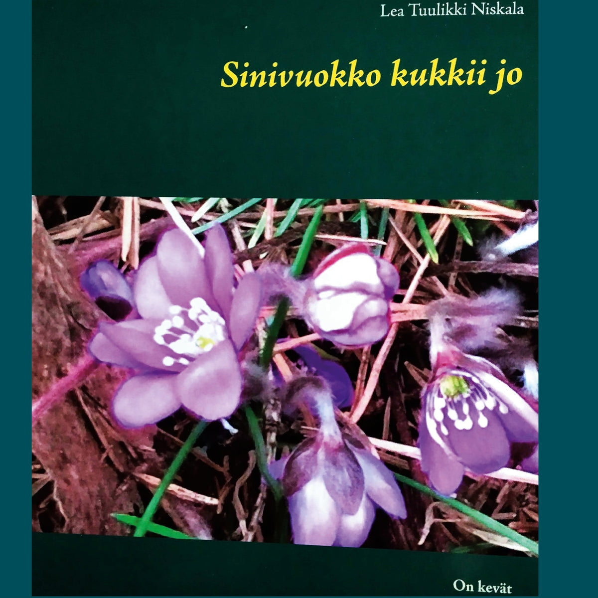 Sinivuokko kukkii jo: On kevät – E-bok