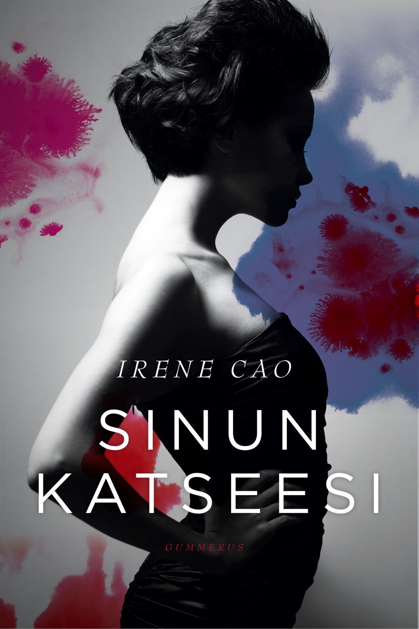 Sinun katseesi – E-bok