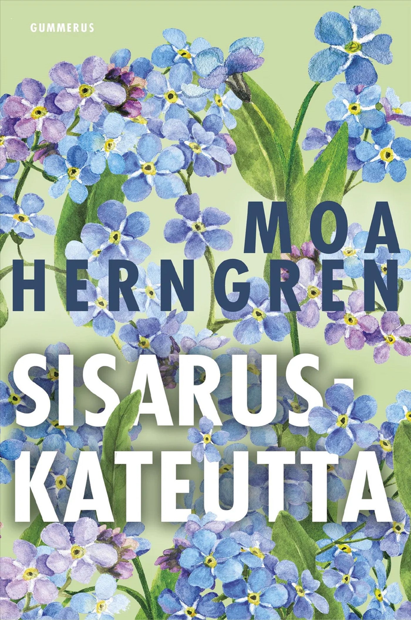 Sisaruskateutta – E-bok