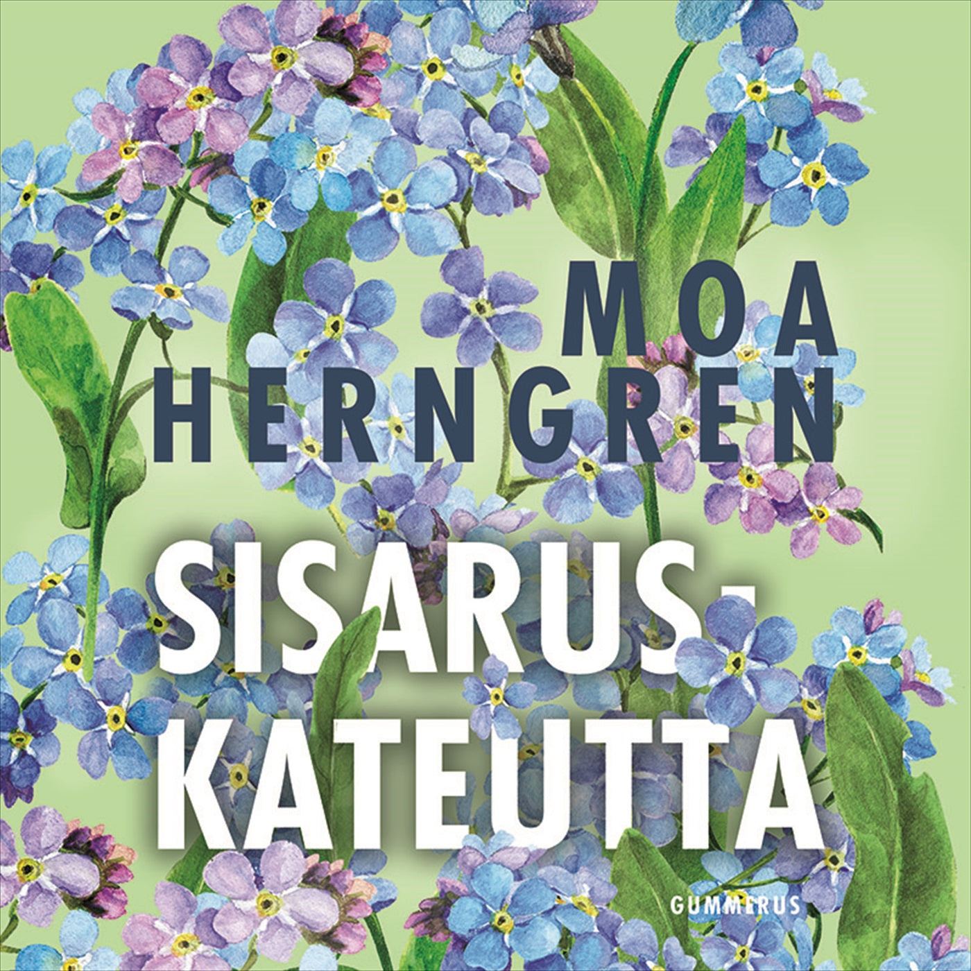 Sisaruskateutta – Ljudbok