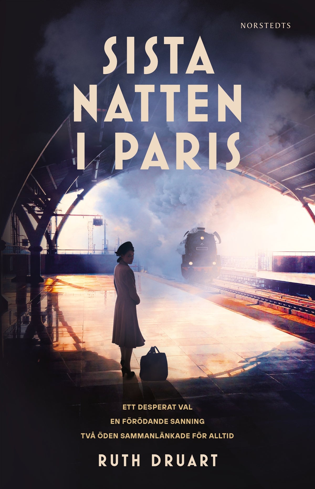 Sista natten i Paris – E-bok