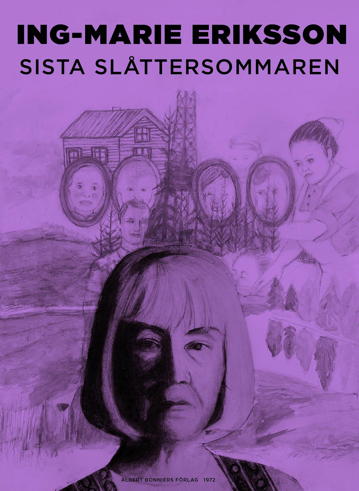 Sista slåttersommaren – E-bok