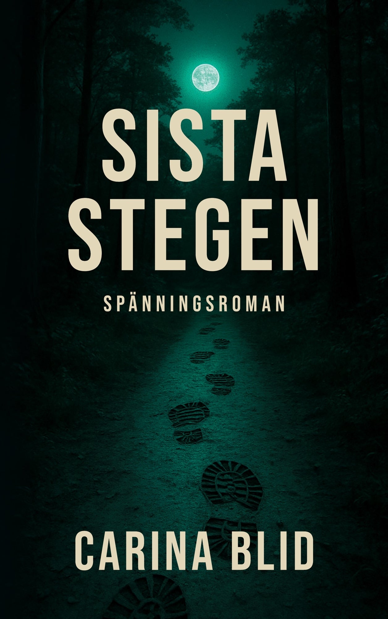 Sista stegen – E-bok