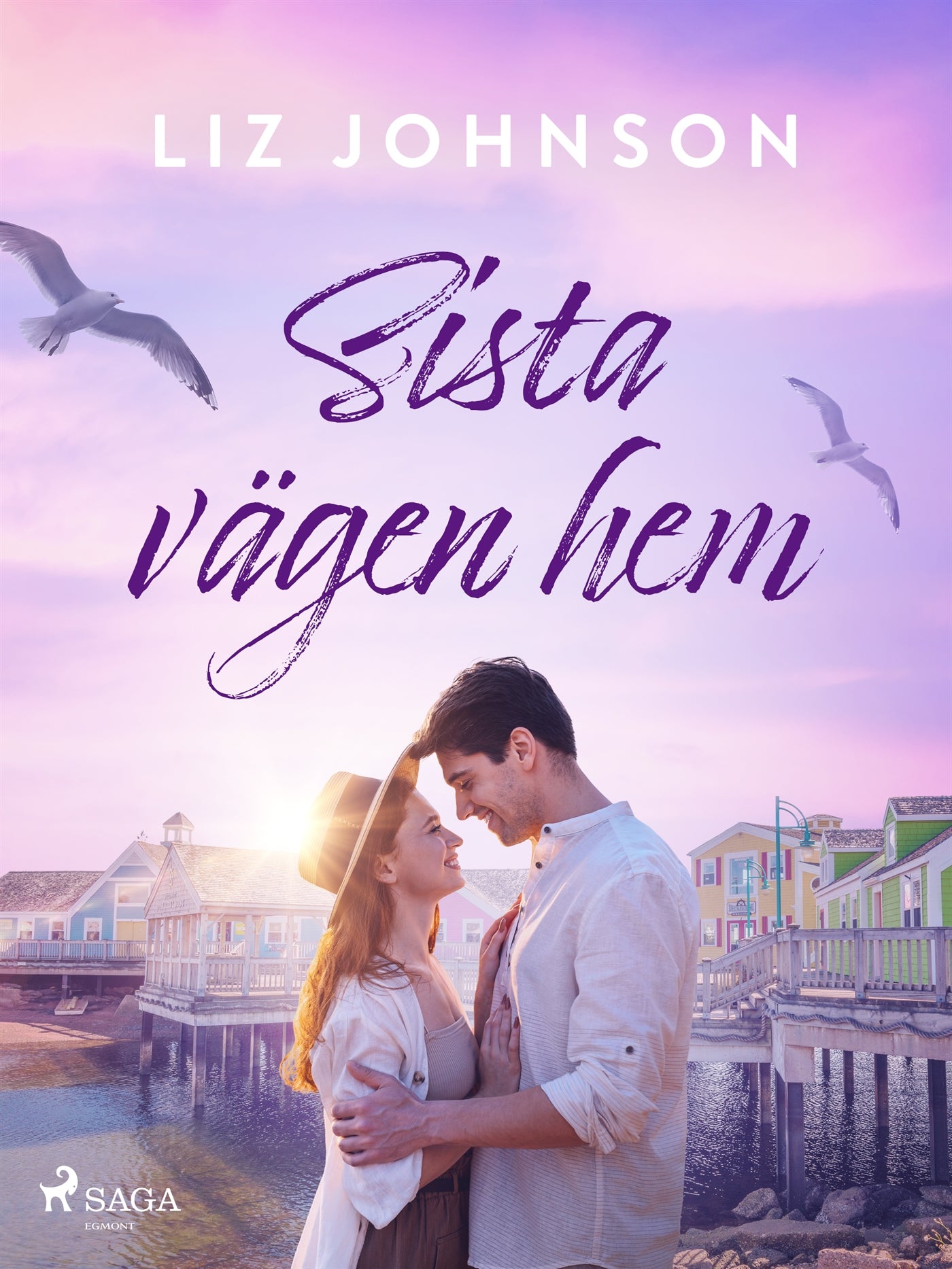 Sista vägen hem – E-bok
