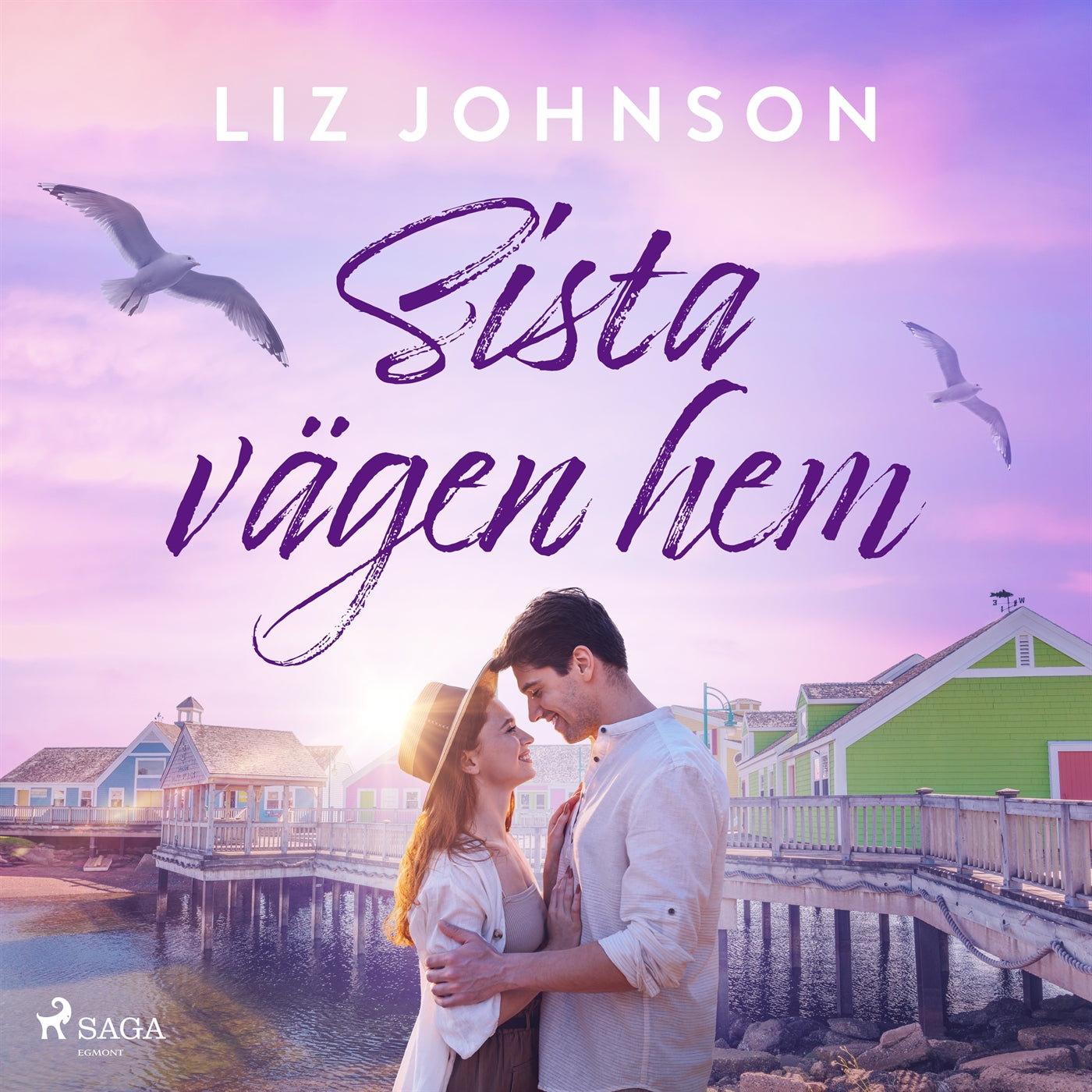 Sista vägen hem – Ljudbok