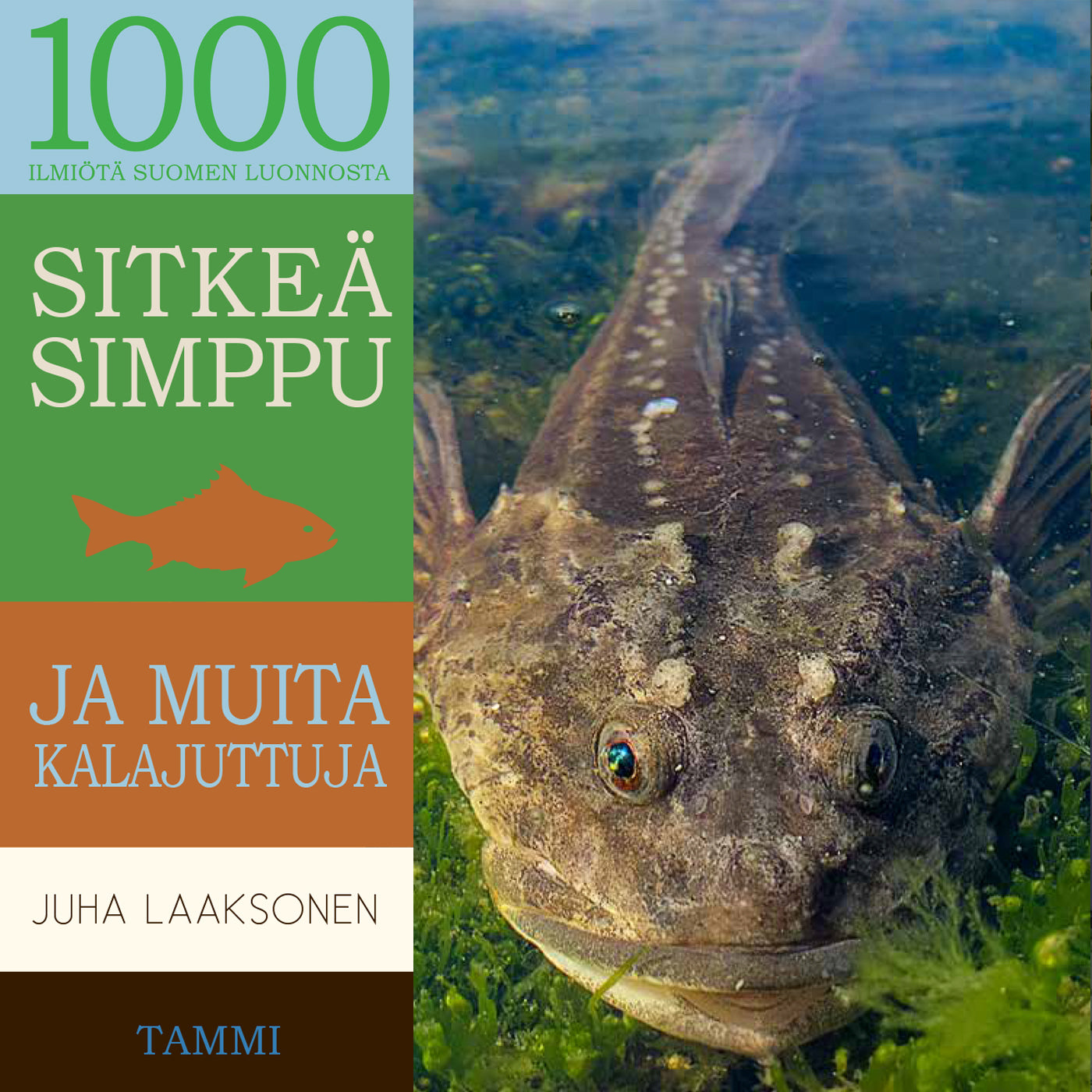 Sitkeä simppu ja muita kalajuttuja – Ljudbok
