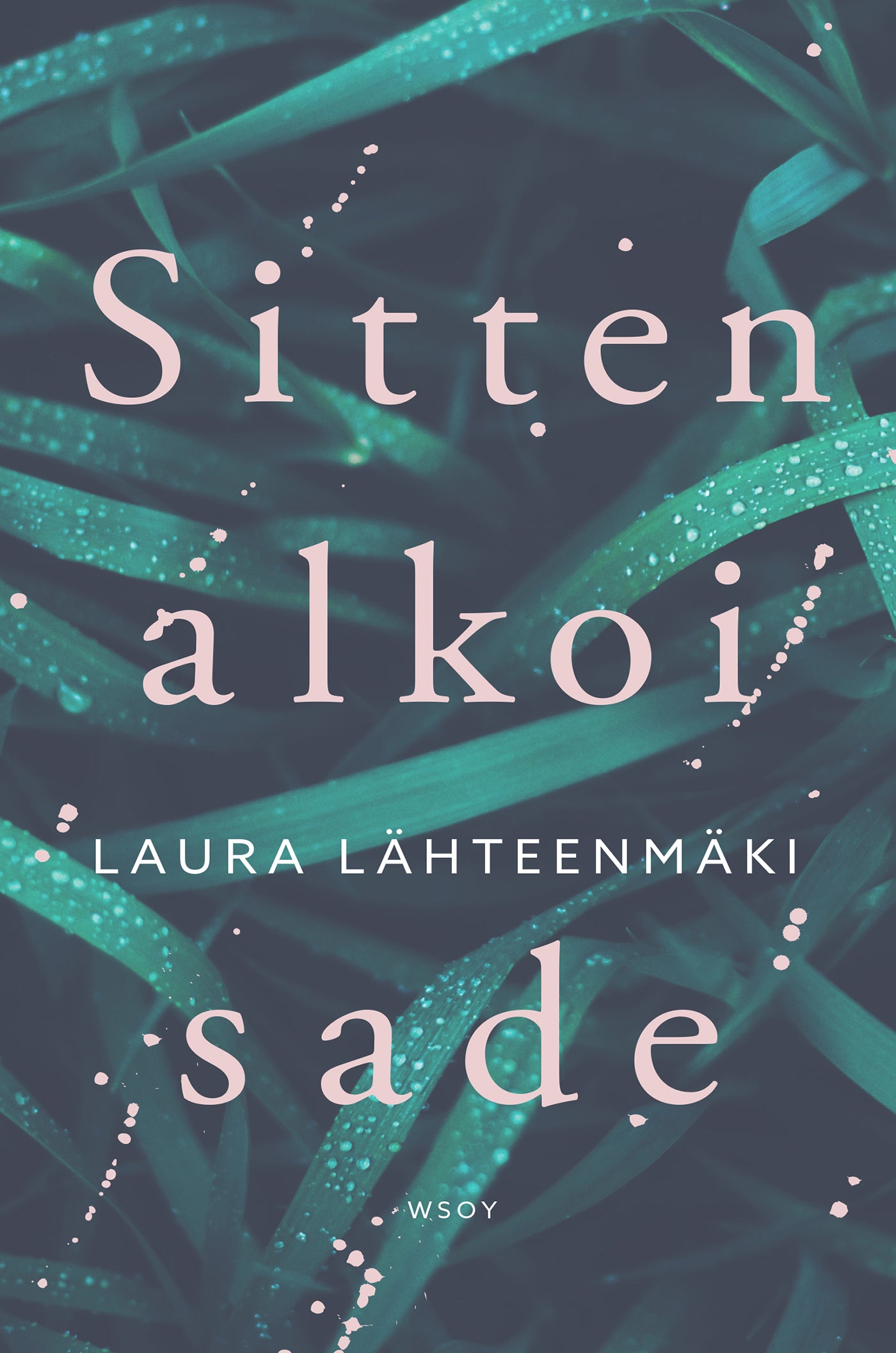 Sitten alkoi sade – E-bok
