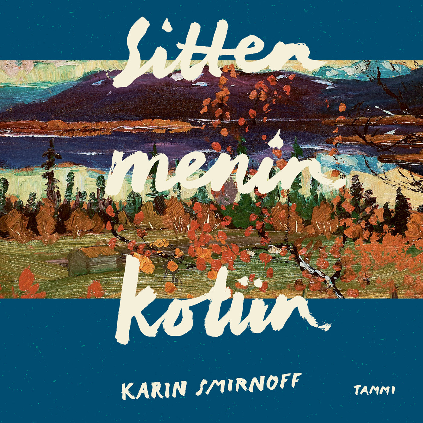 Sitten menin kotiin – Ljudbok