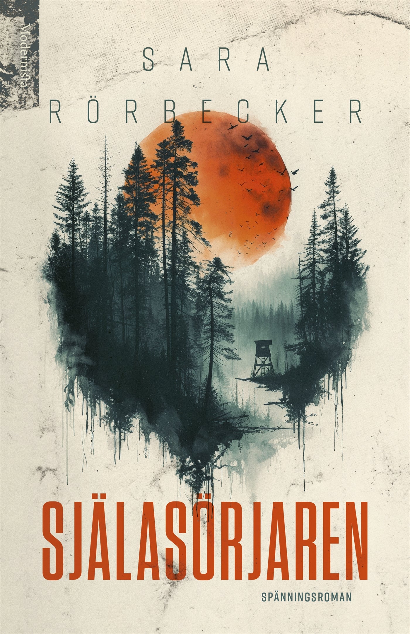 Själasörjaren – E-bok