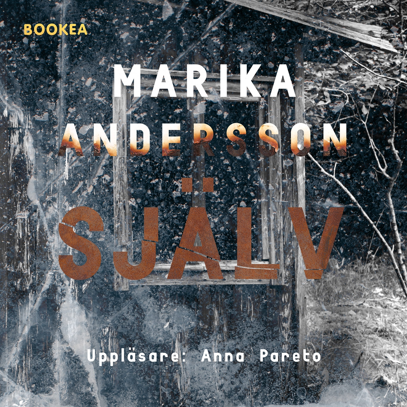 Själv – Ljudbok