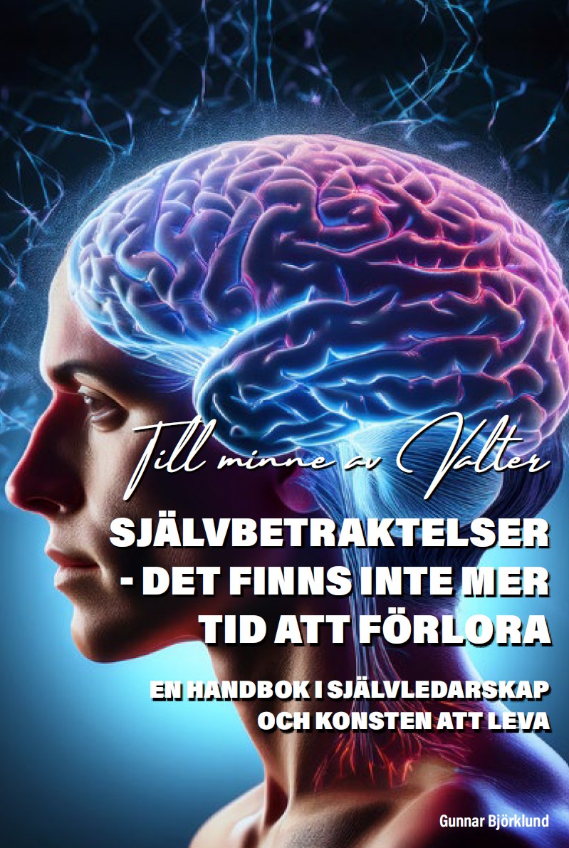 Självbetraktelser : det finns inte mer tid att förlora – E-bok