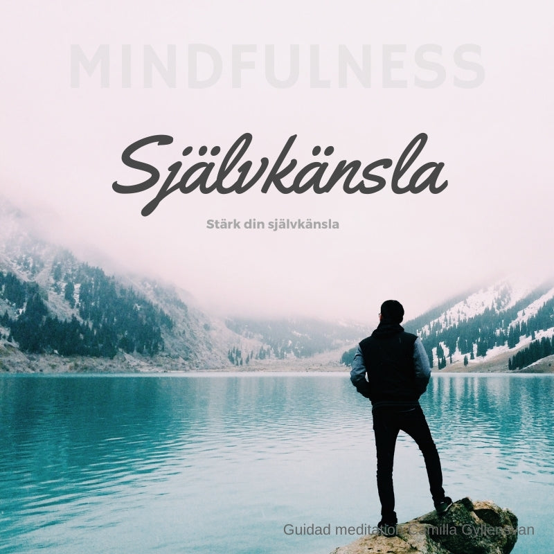 Självkänsla – Ljudbok