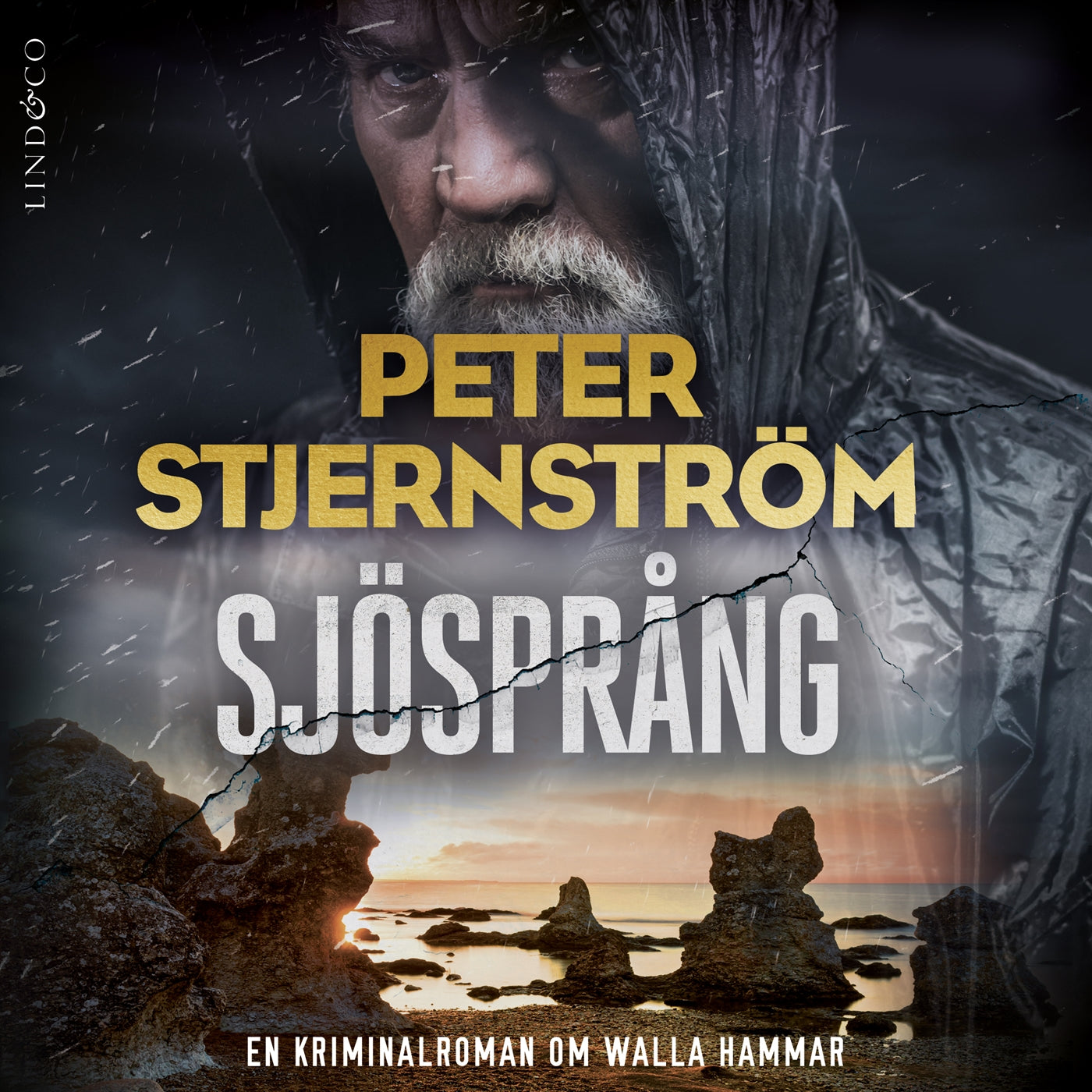 Sjösprång – Ljudbok