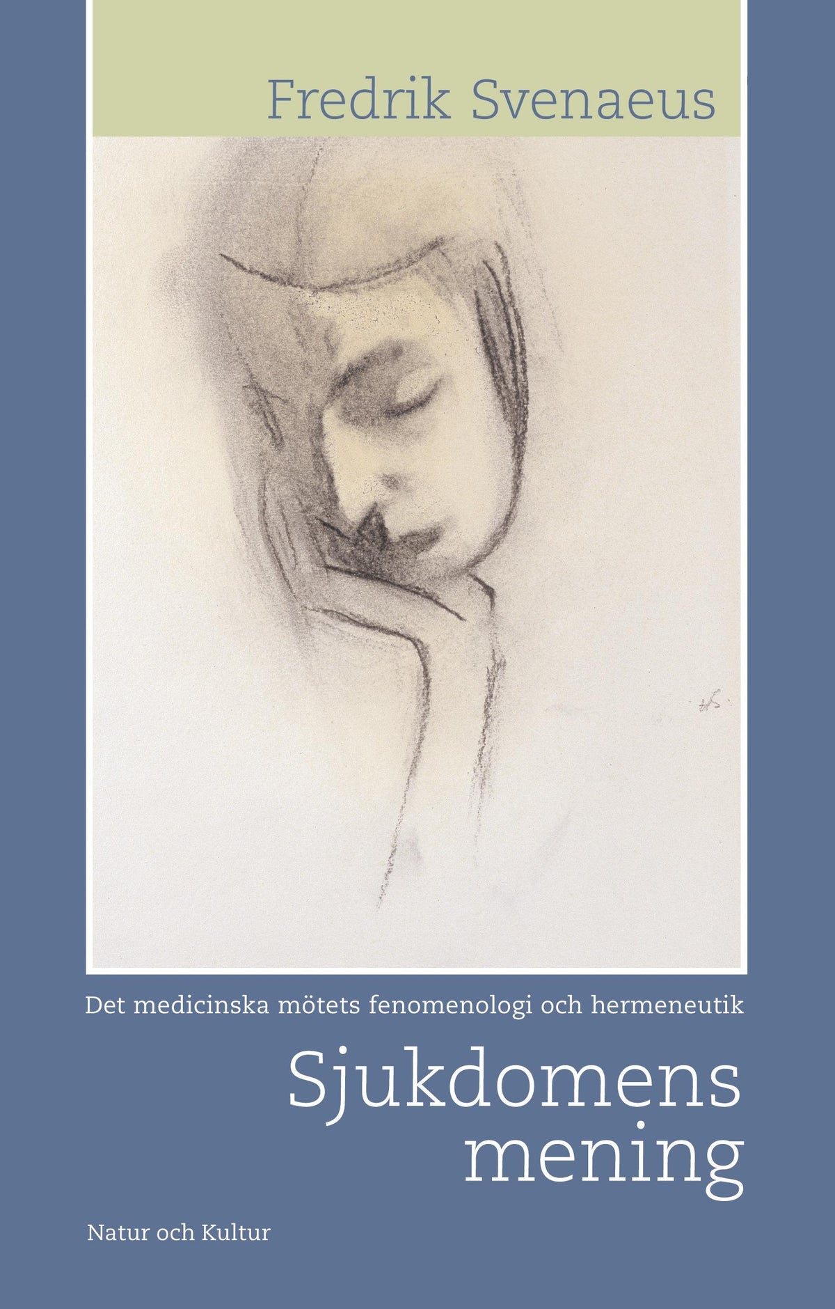 Sjukdomens mening – E-bok