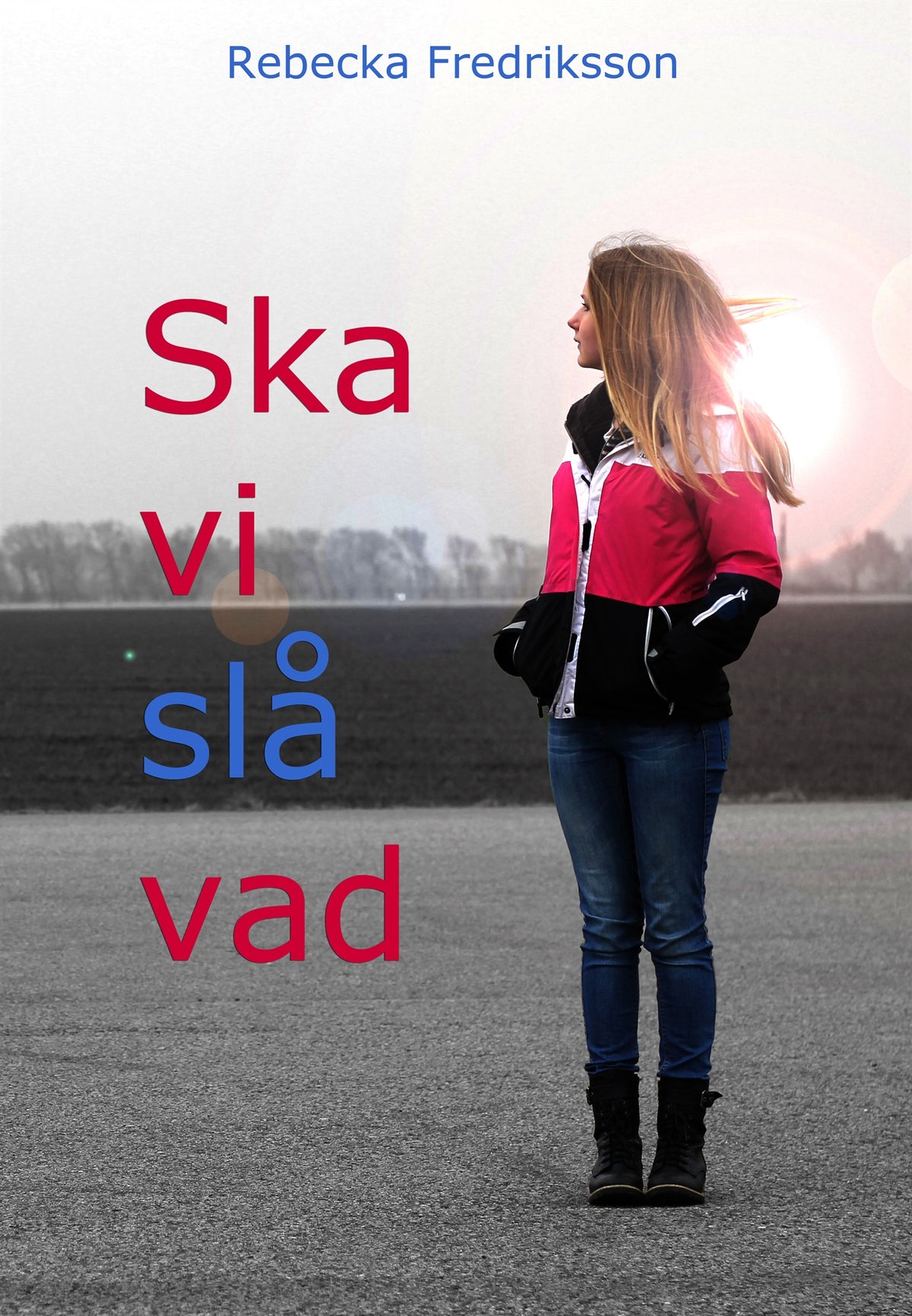 Ska vi slå vad – E-bok