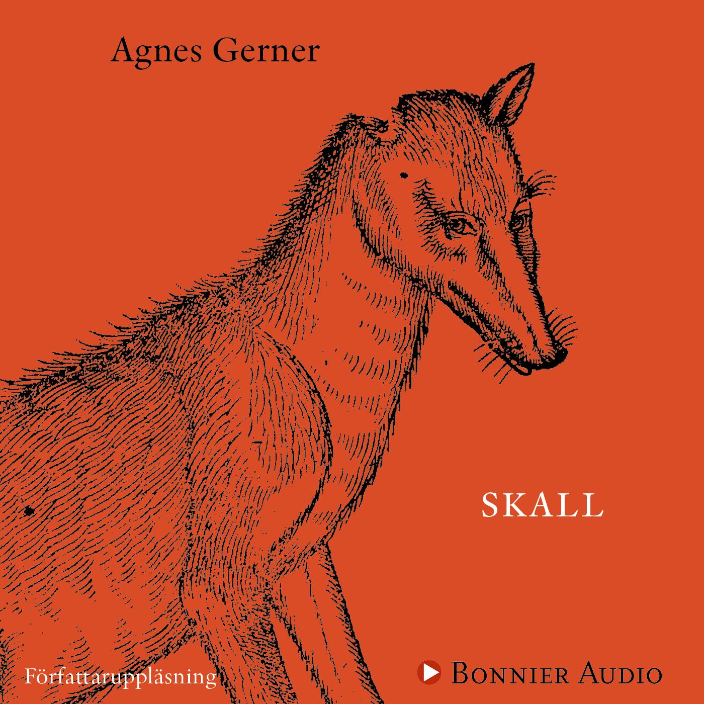 Skall – Ljudbok