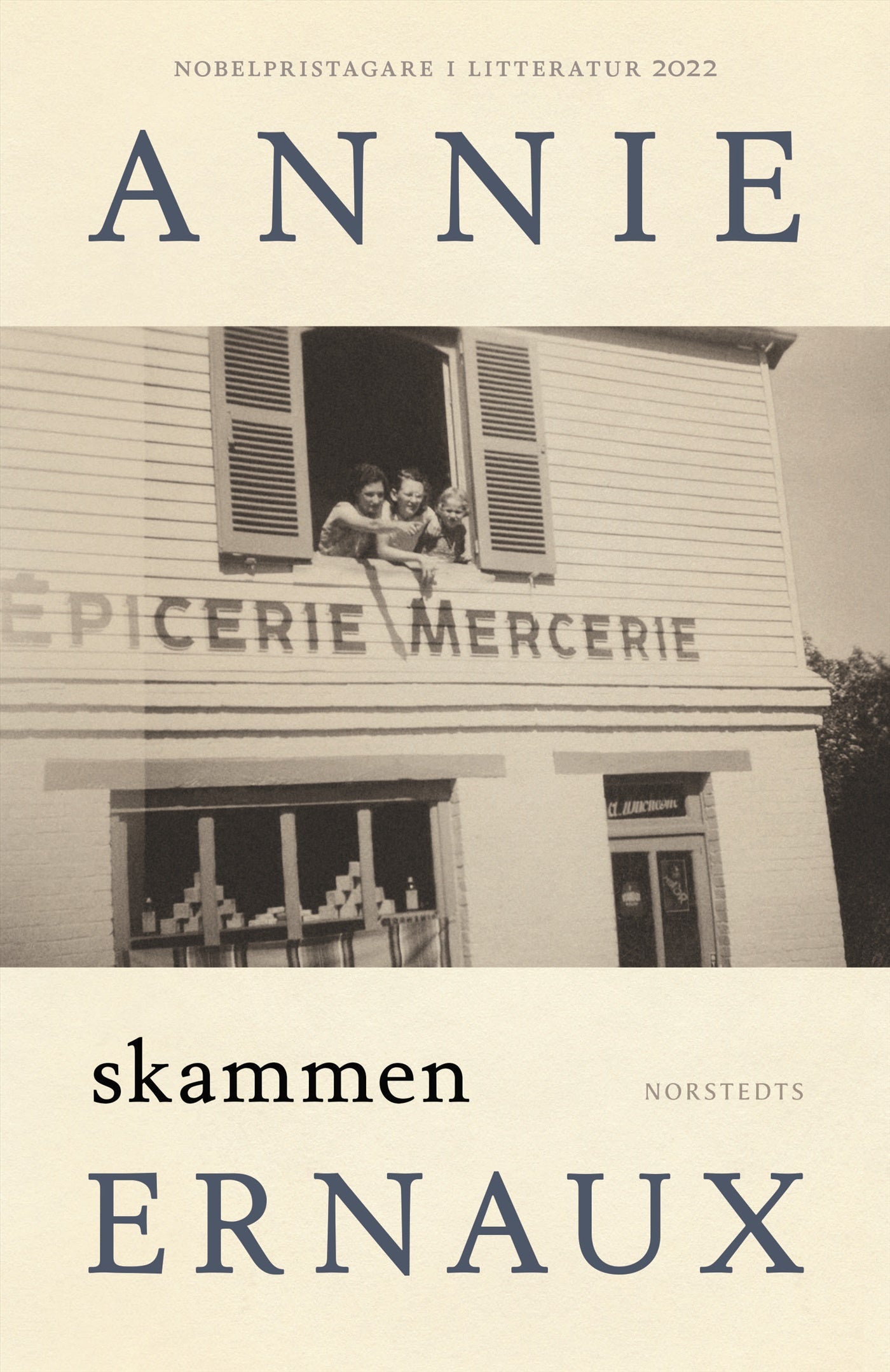 Skammen – E-bok