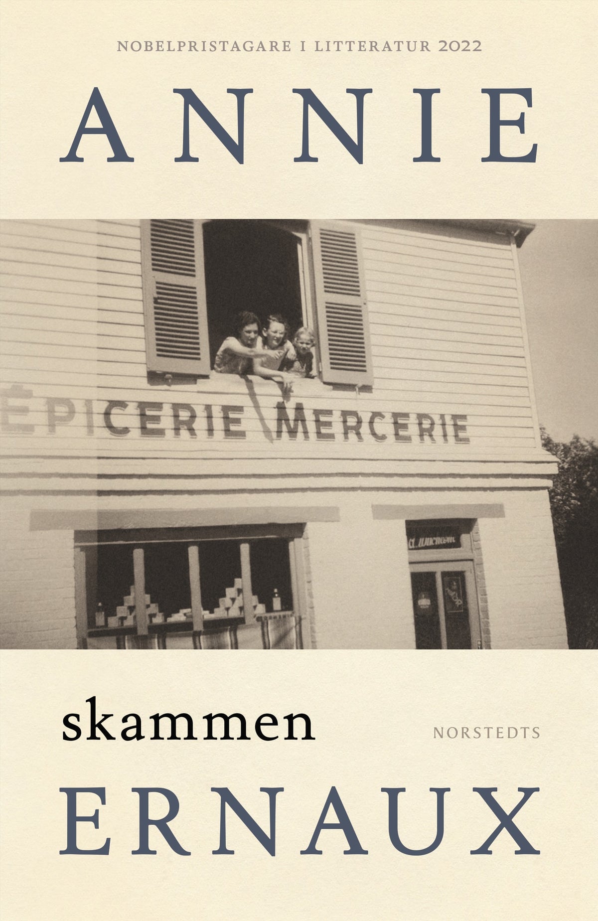 Skammen – E-bok