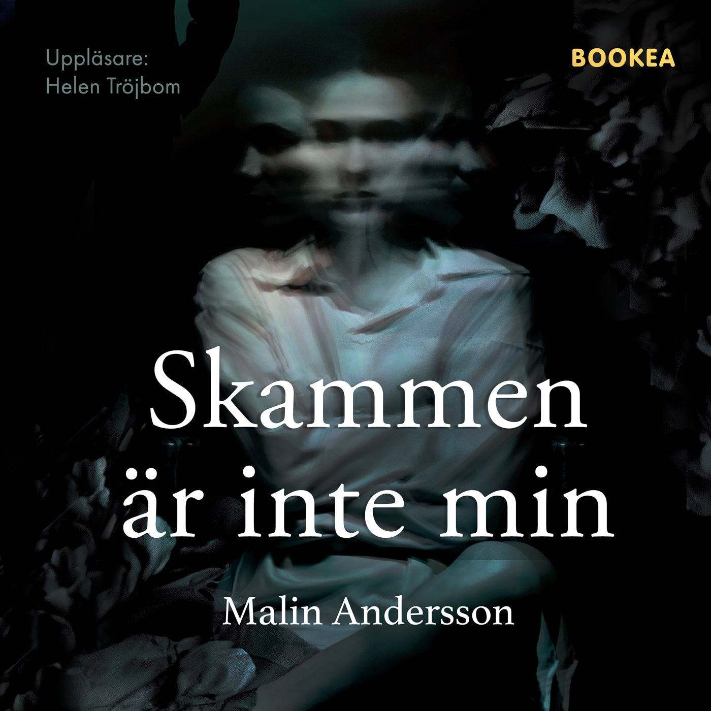 Skammen är inte min – Ljudbok
