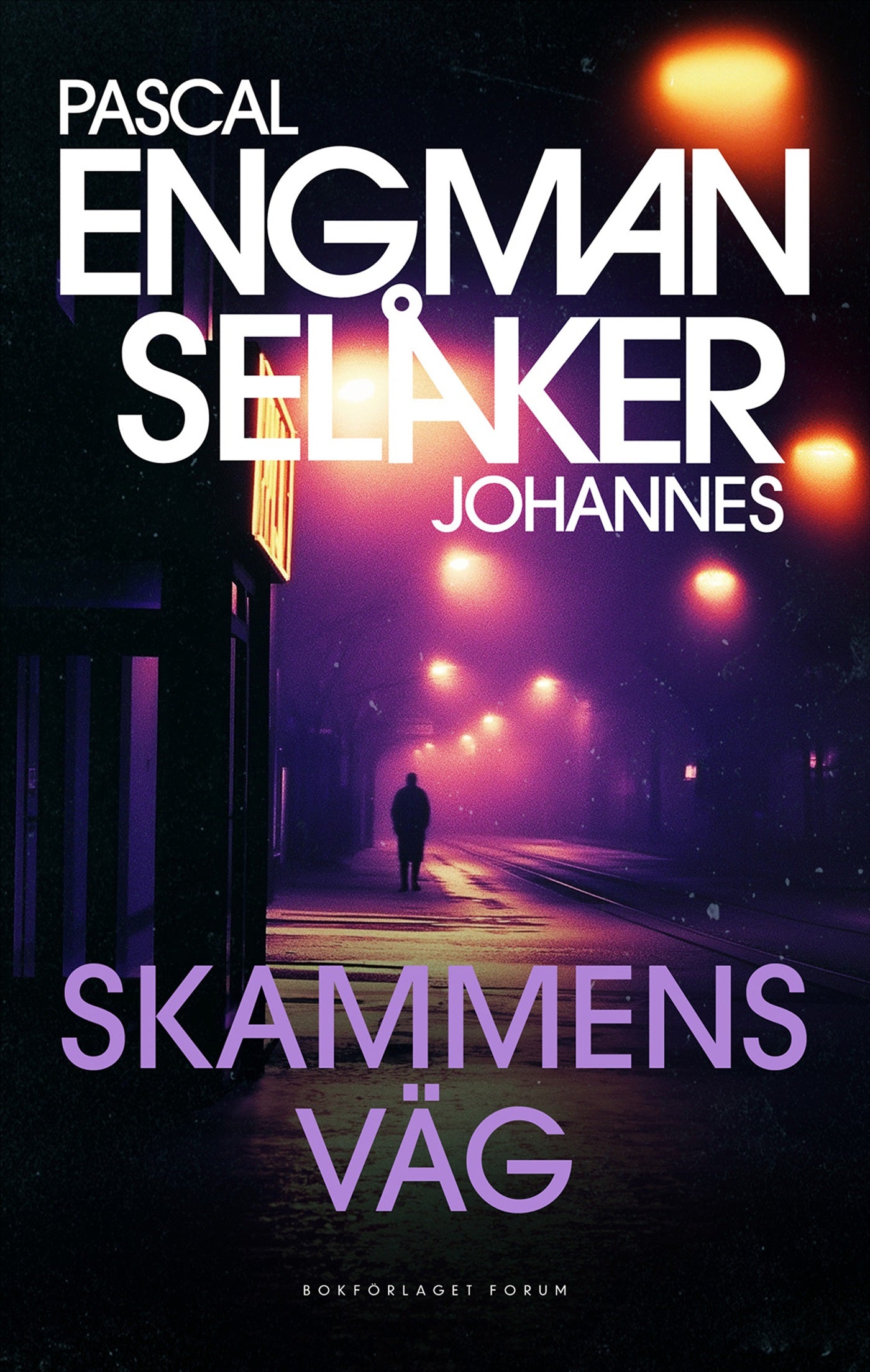 Skammens väg – E-bok