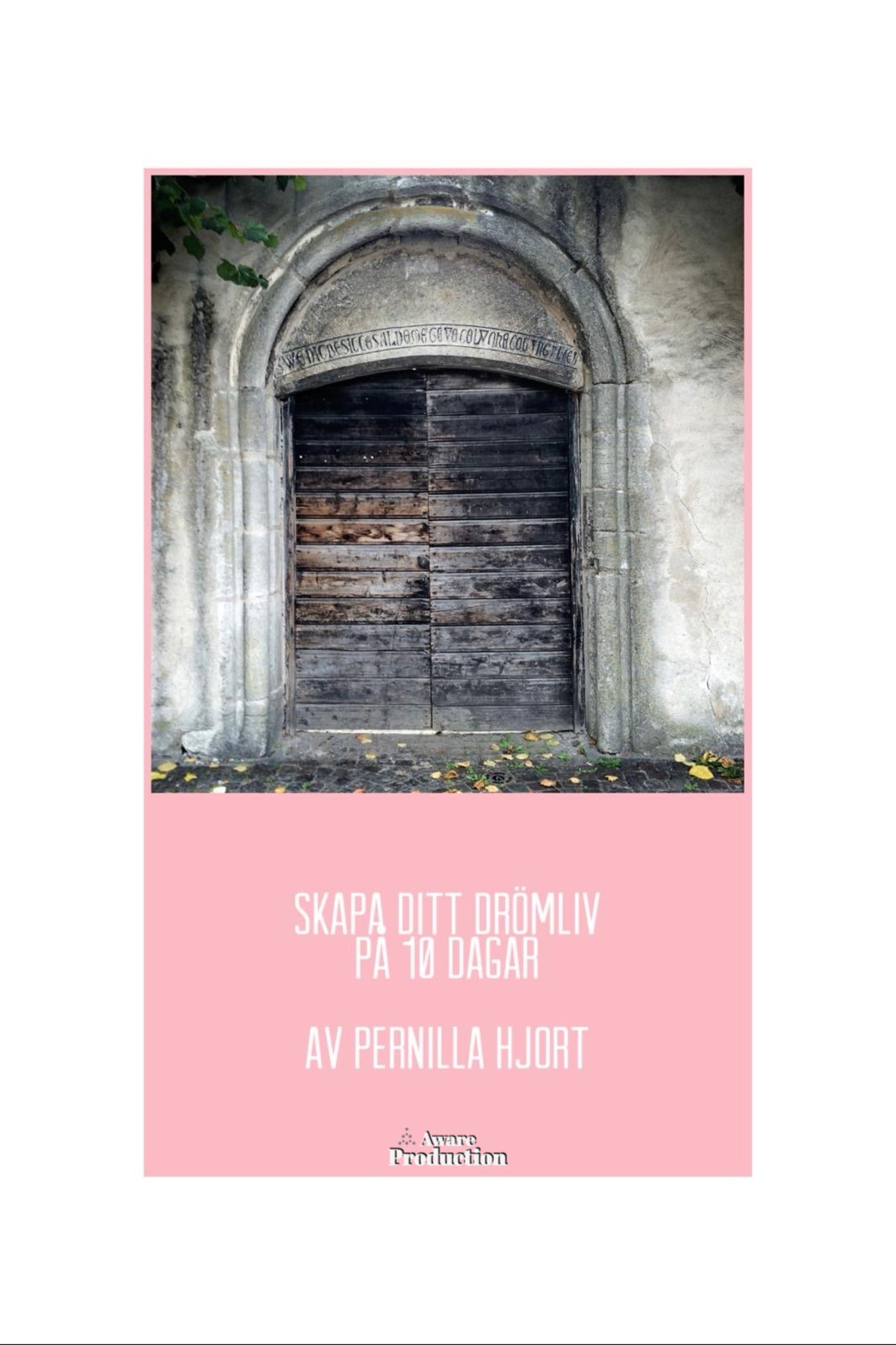 Skapa ditt drömliv på 10 dagar – E-bok