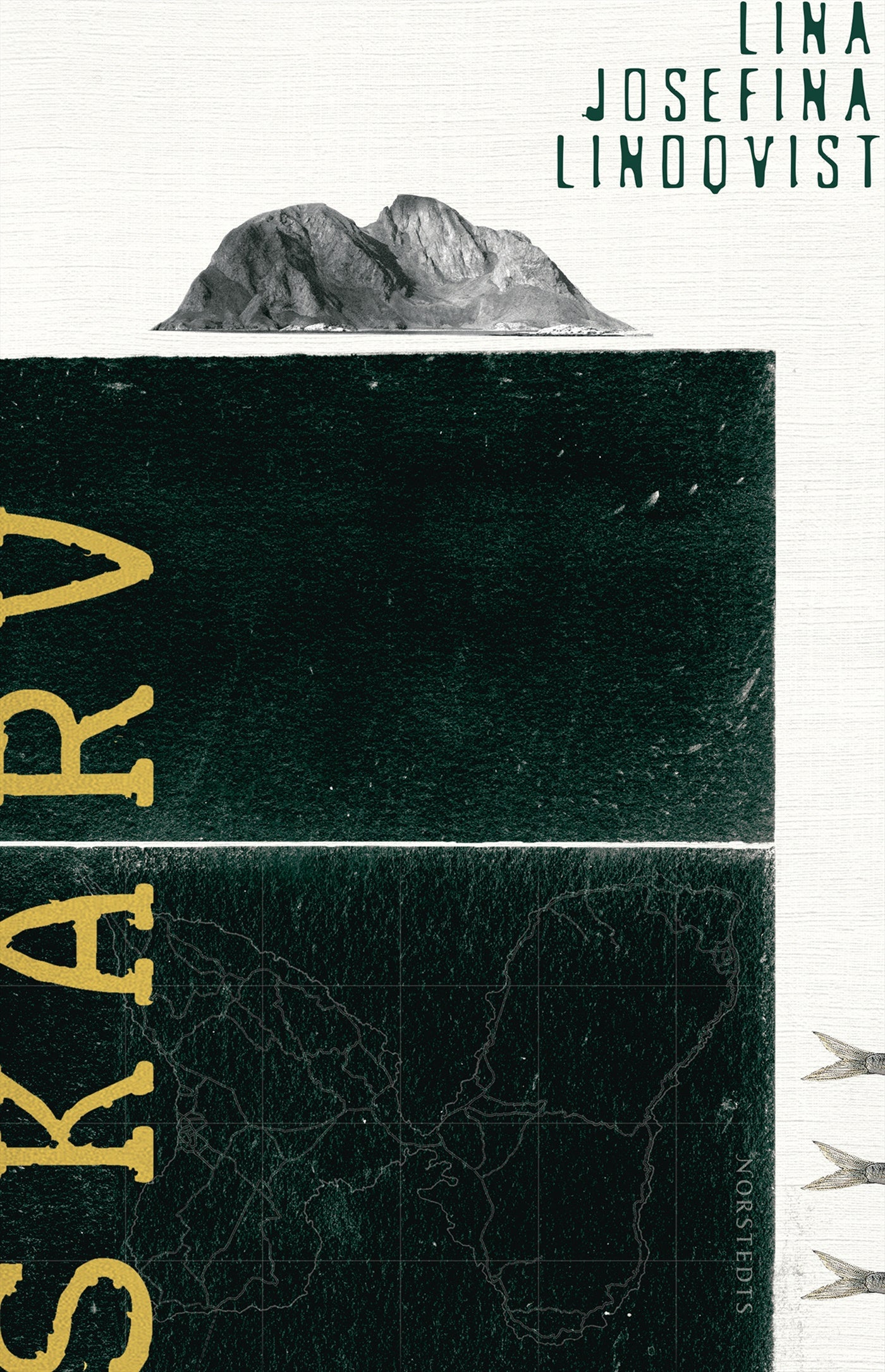 Skarv – E-bok