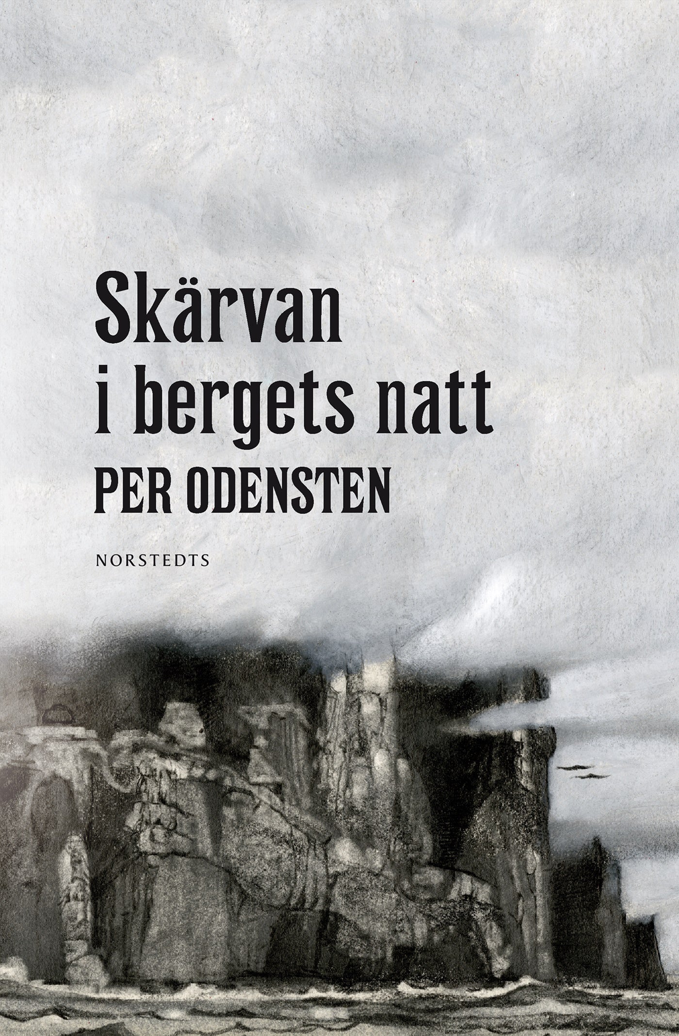 Skärvan i bergets natt – E-bok