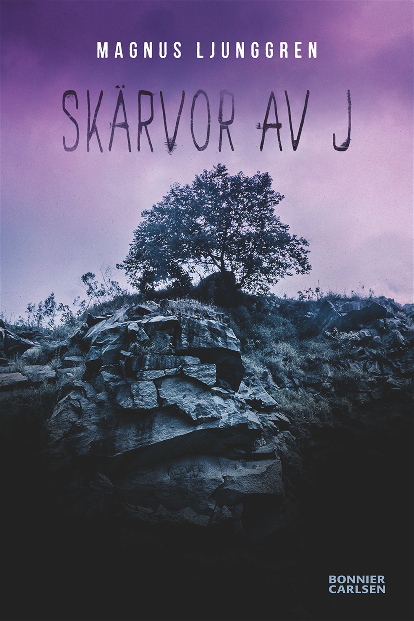 Skärvor av J – E-bok