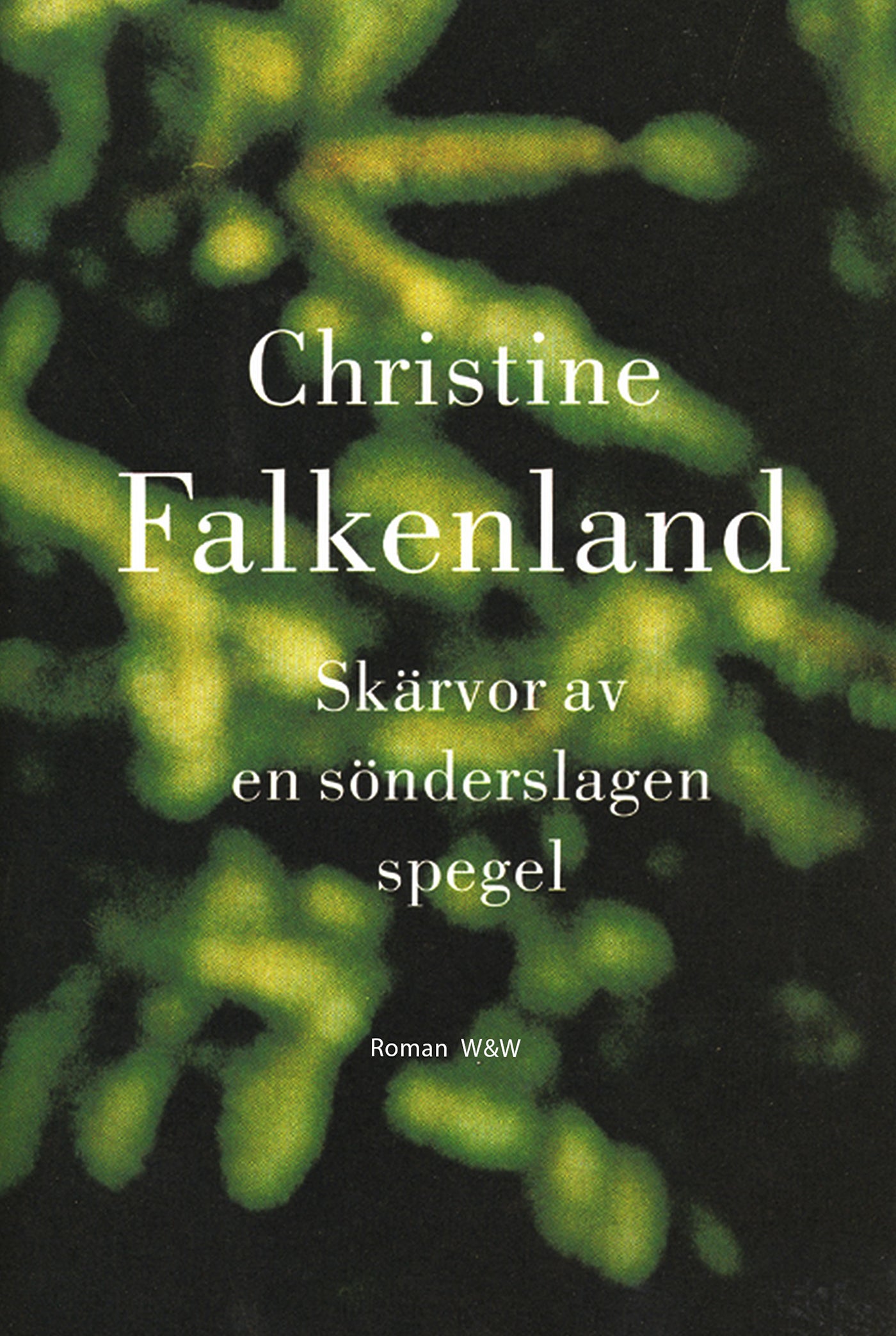 Skärvor av en sönderslagen spegel – E-bok
