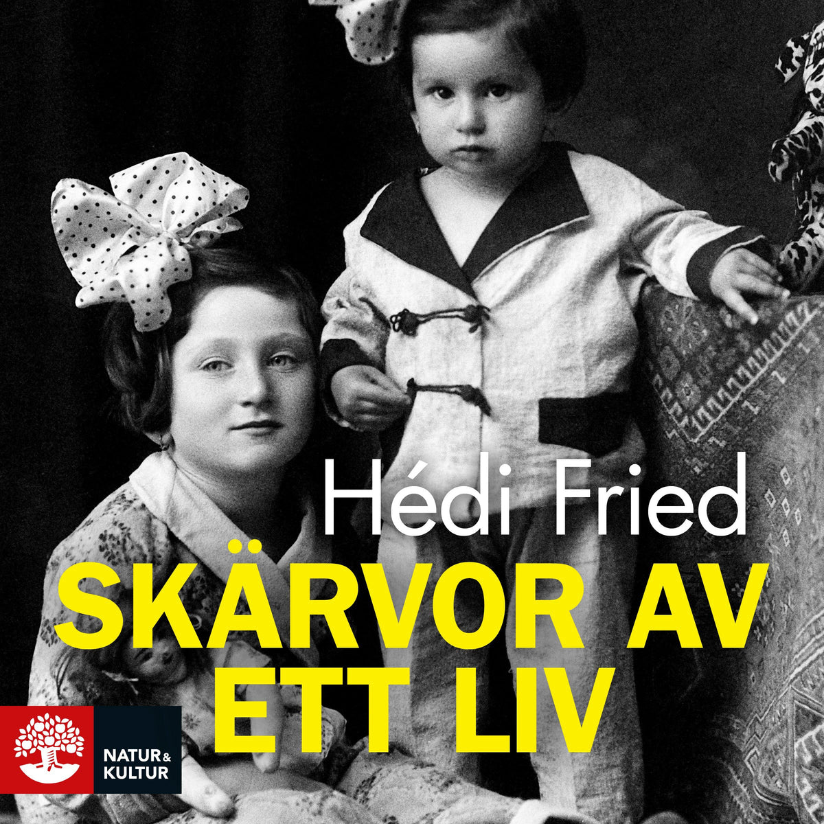 Skärvor av ett liv : vägen till och från Auschwitz – Ljudbok