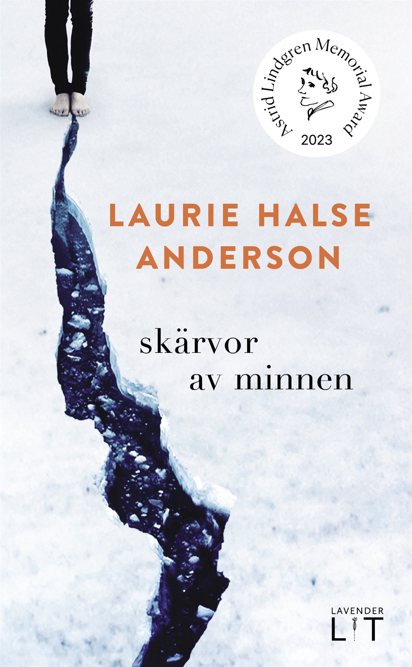 Skärvor av minnen – E-bok