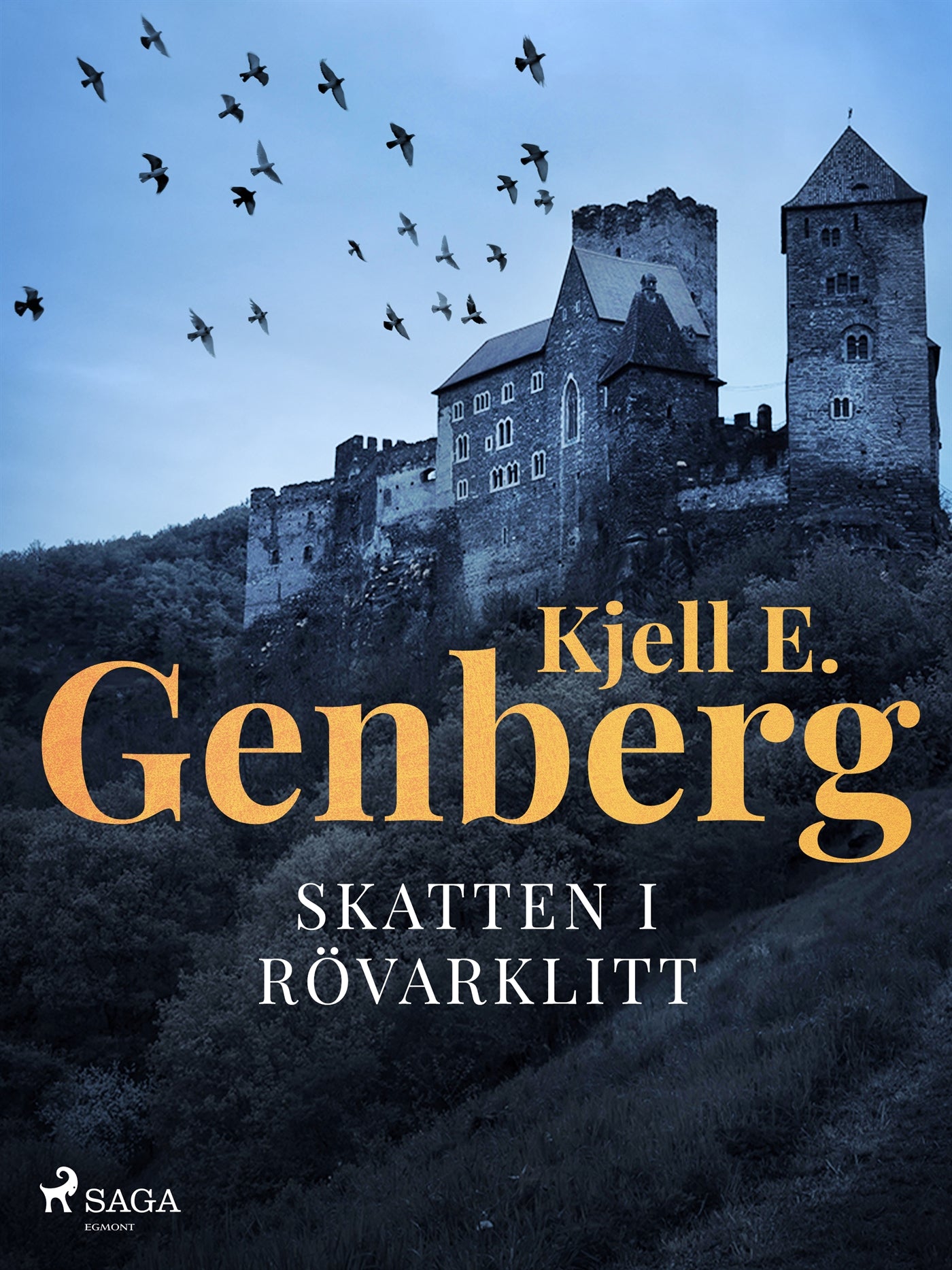Skatten i Rövarklitt – E-bok