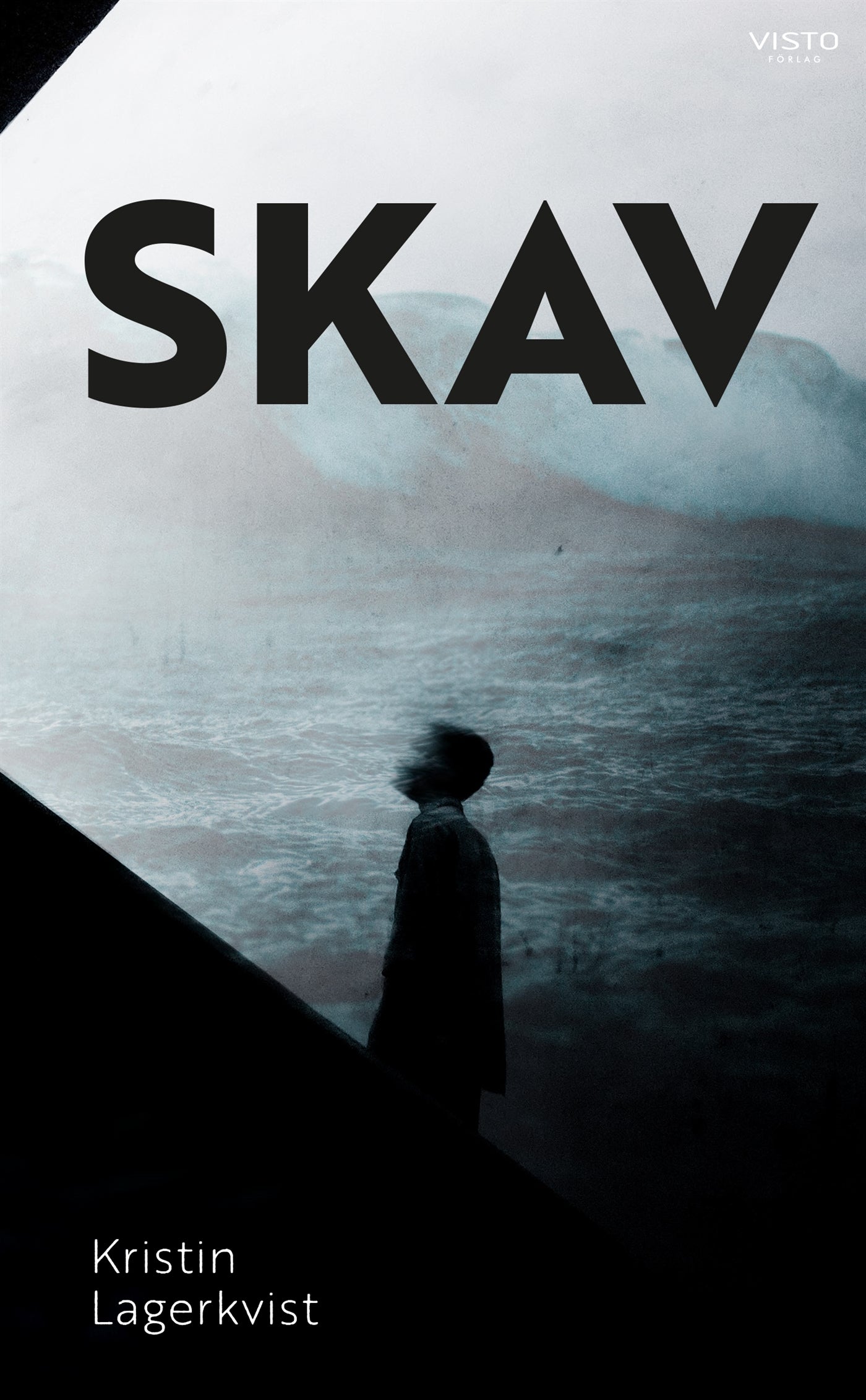 Skav – E-bok