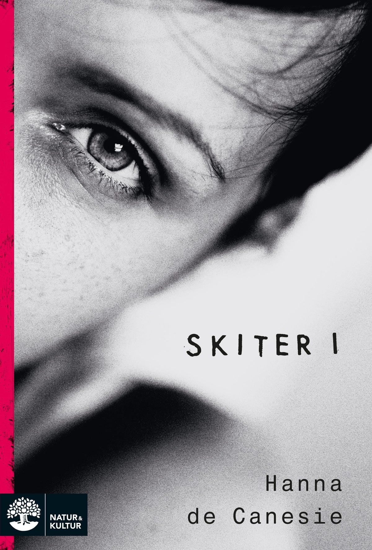 Skiter i – E-bok