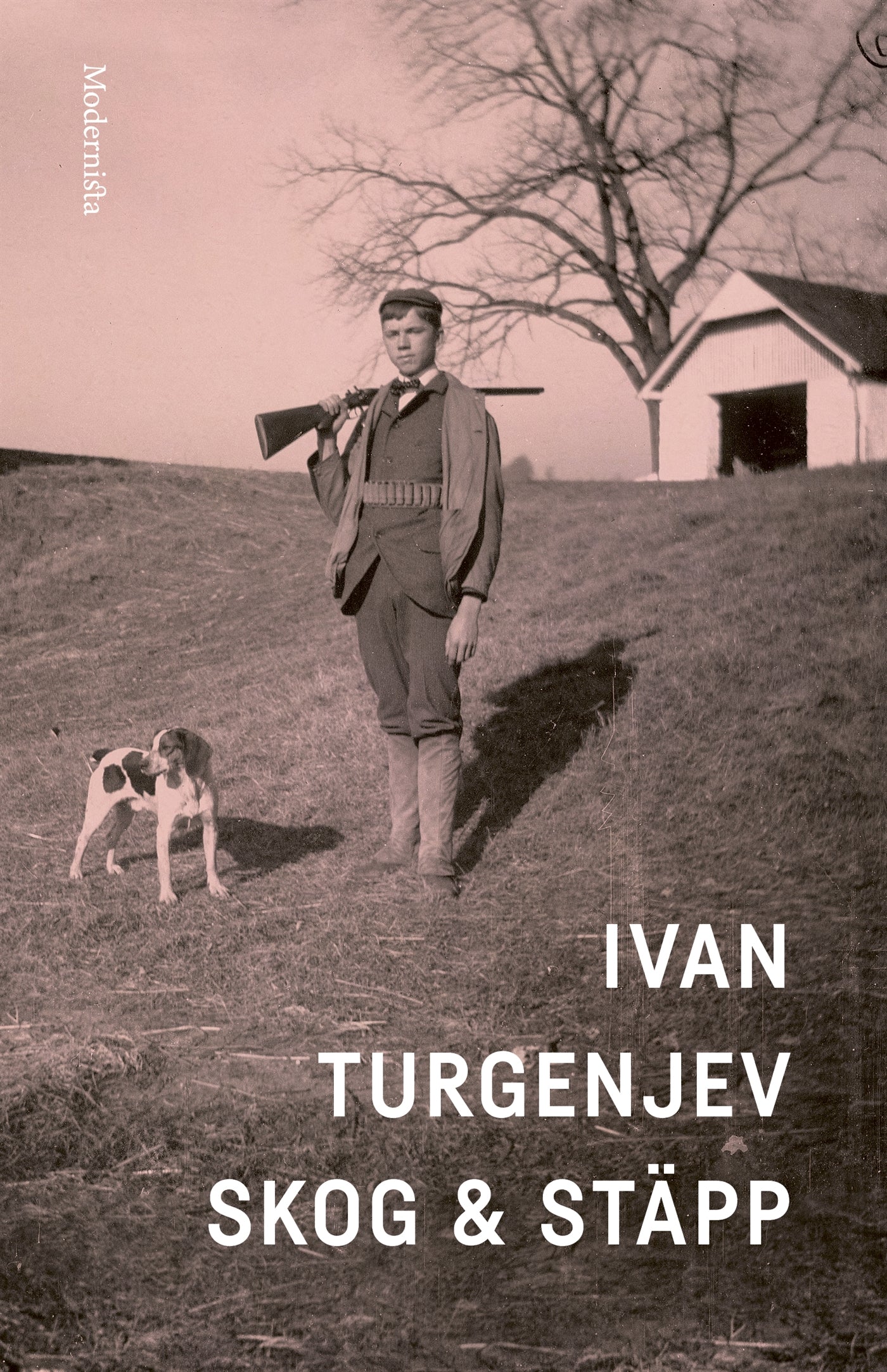 Skog och stäpp – E-bok