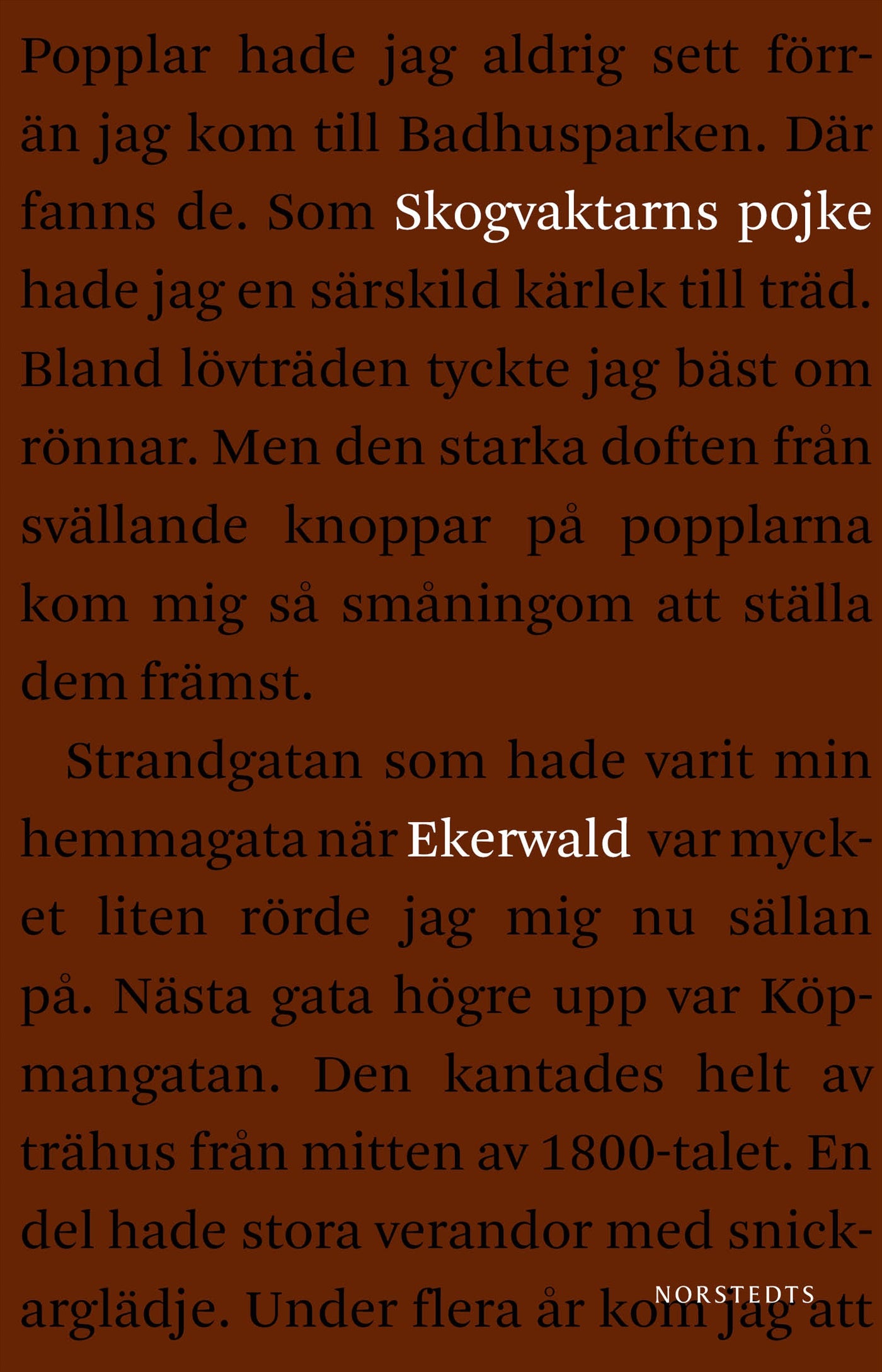 Skogvaktarns pojke : minnen – E-bok