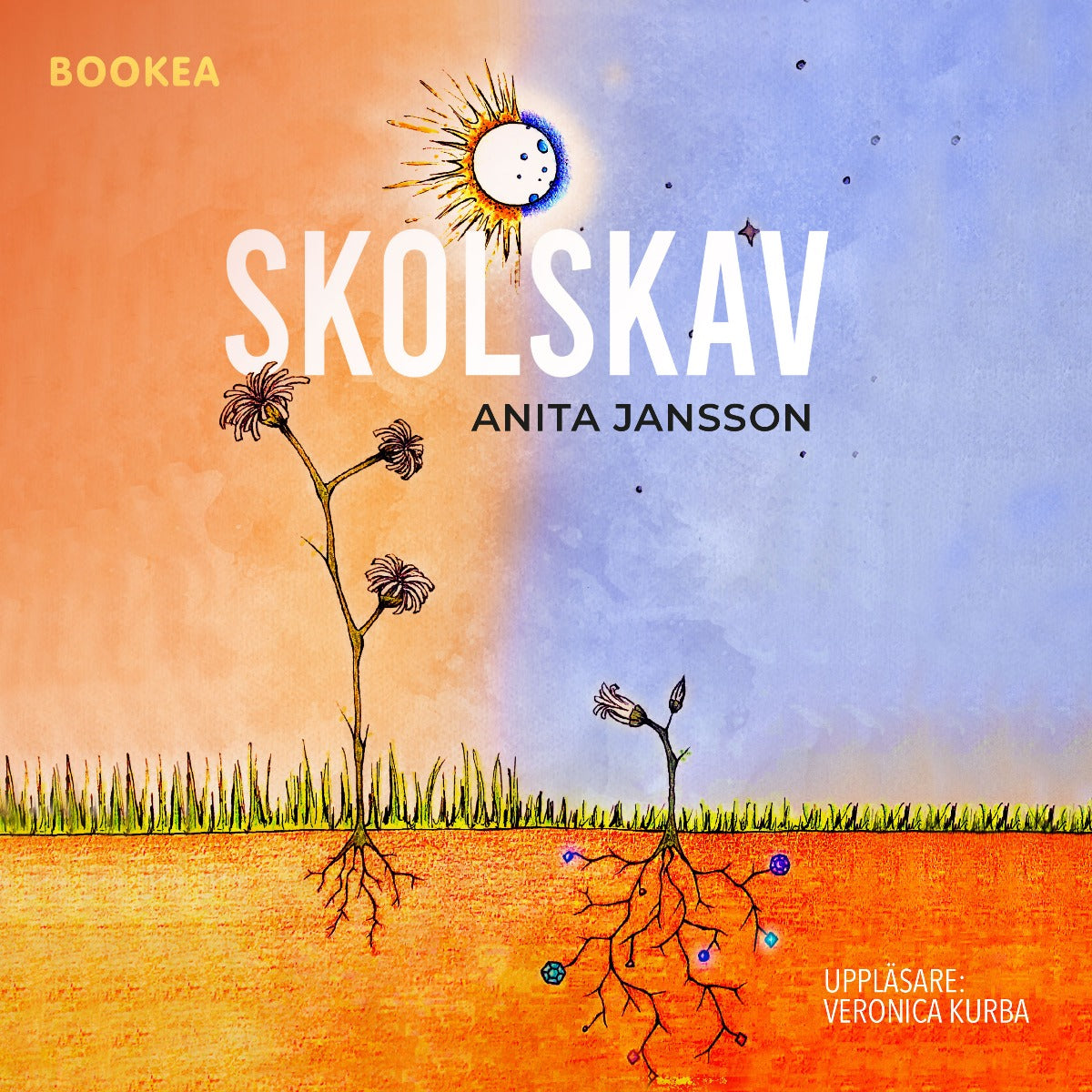 Skolskav – Ljudbok