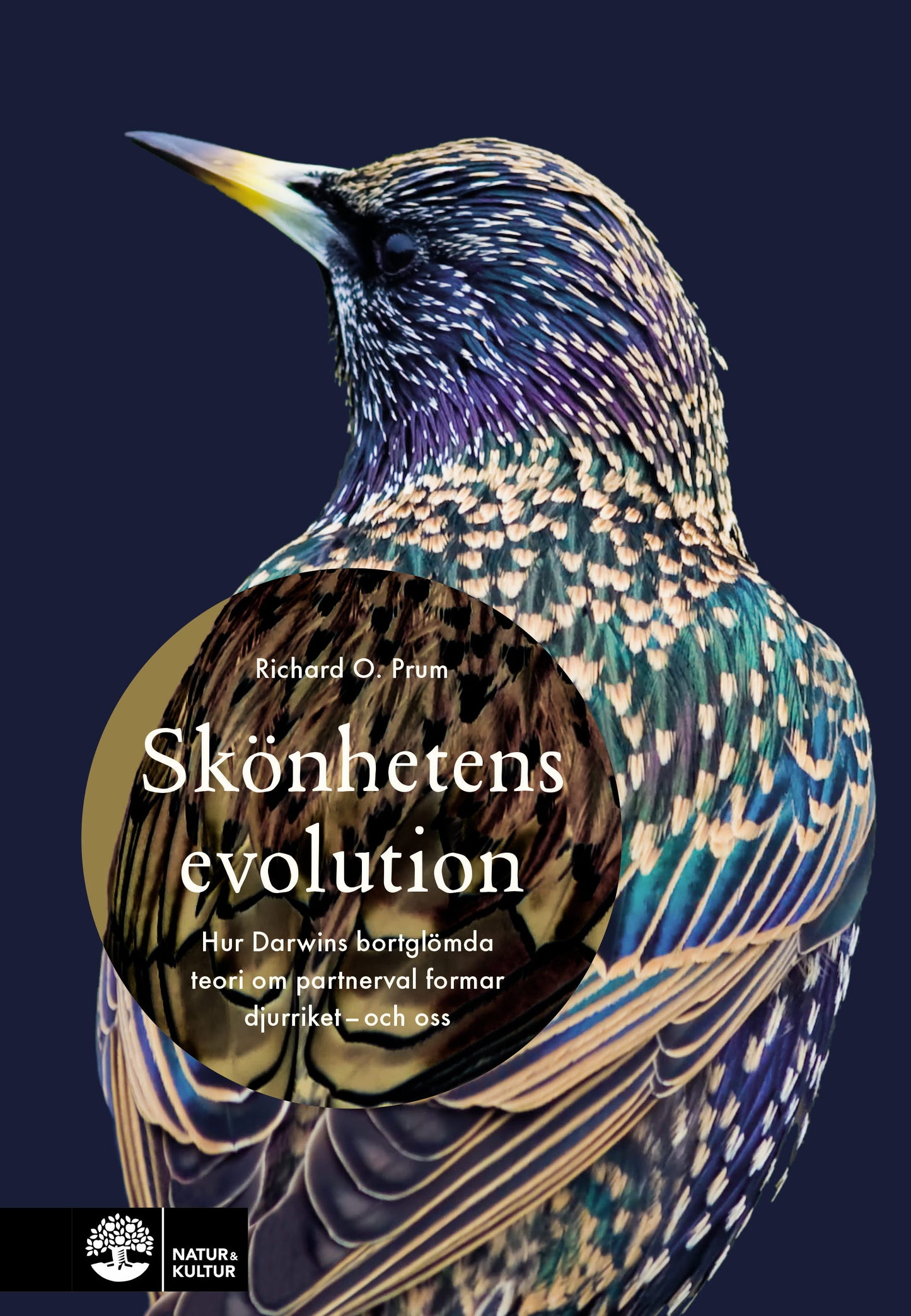 Skönhetens evolution : hur Darwins bortglömda teori om det sexuella urvalet formar djurriket - och oss – E-bok