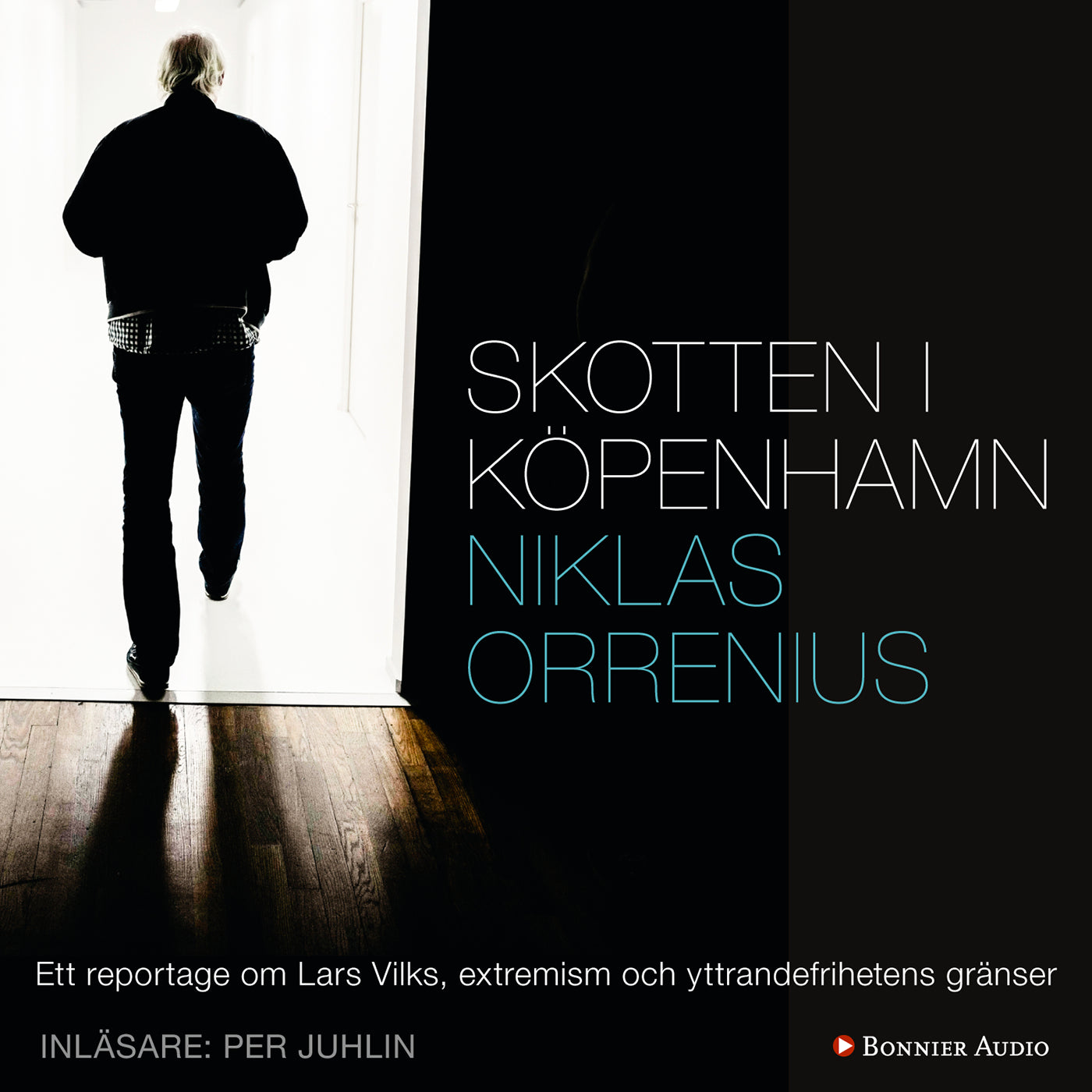 Skotten i Köpenhamn : ett reportage om Lars Vilks, extremism och yttrandefrihetens gränser – Ljudbok