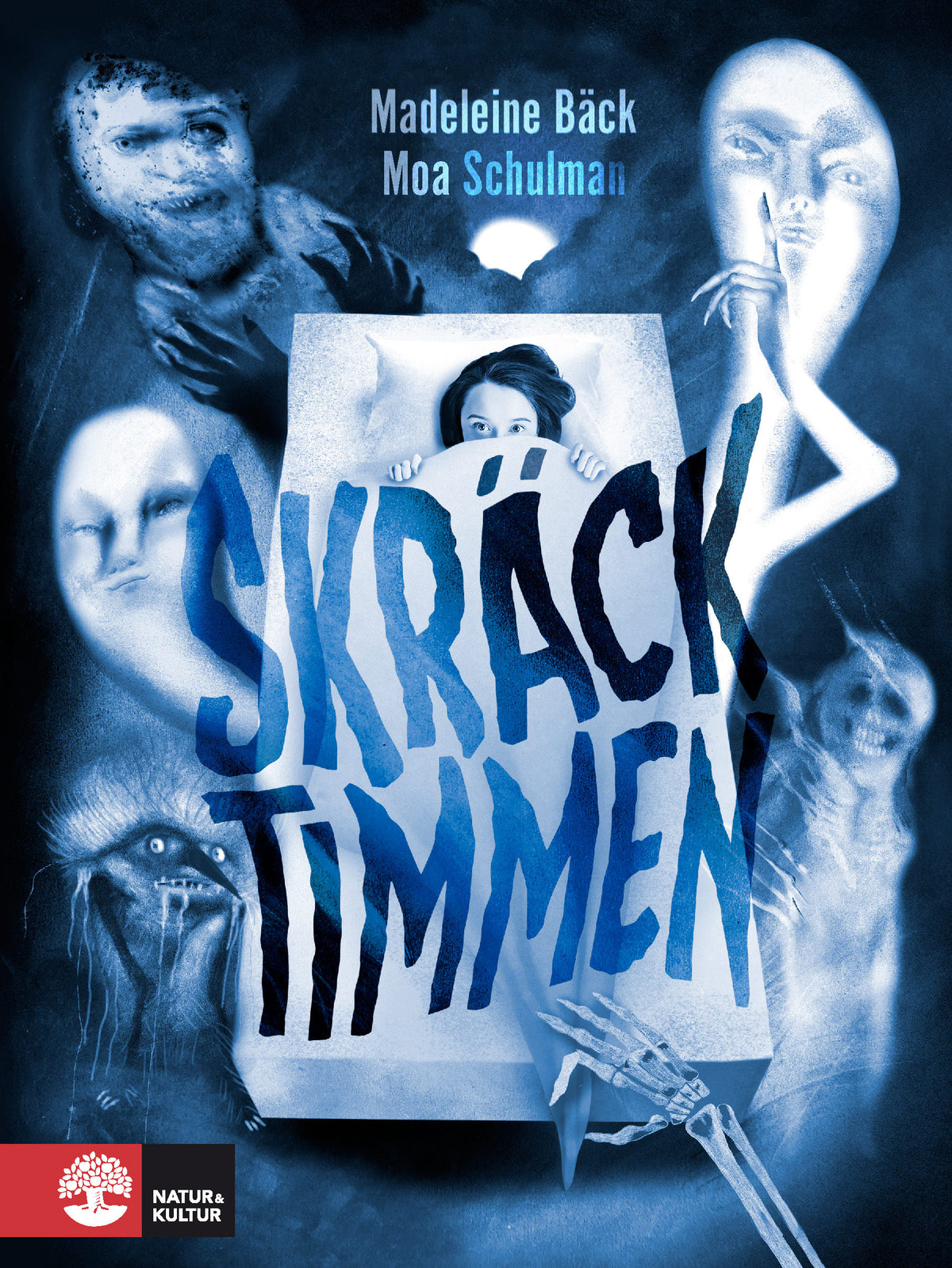 Skräcktimmen – E-bok