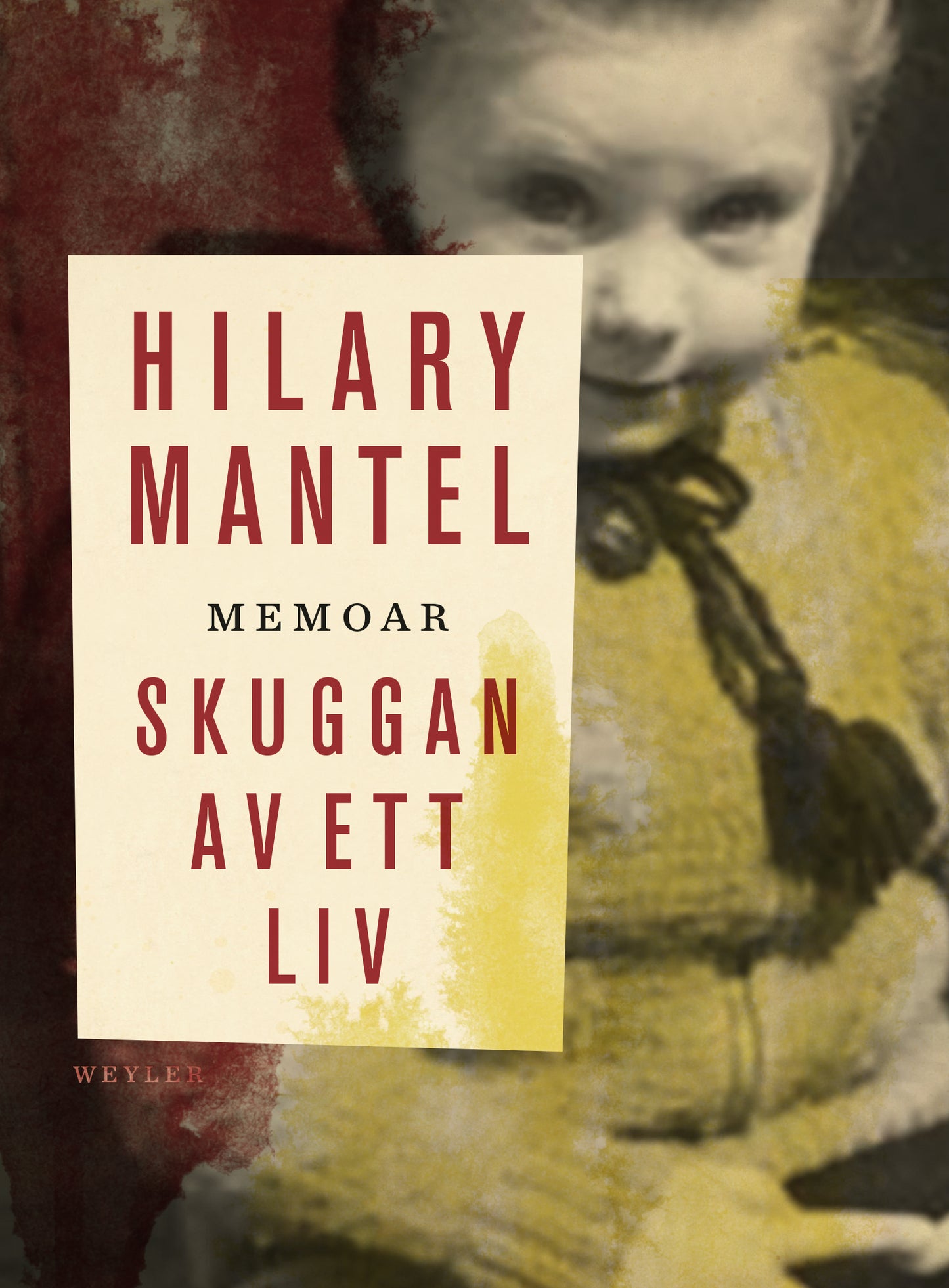 Skuggan av ett liv – E-bok