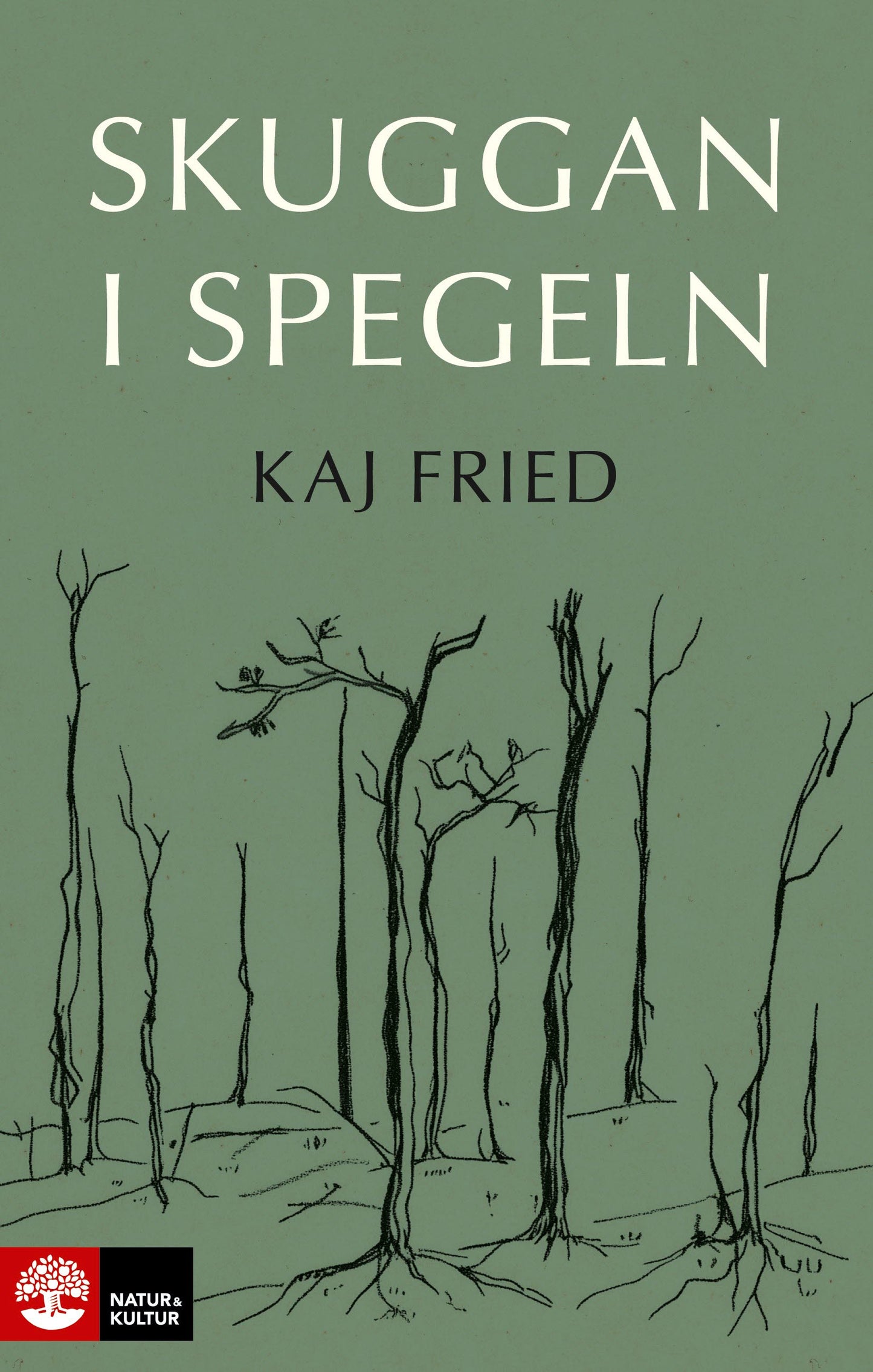 Skuggan i spegeln – E-bok
