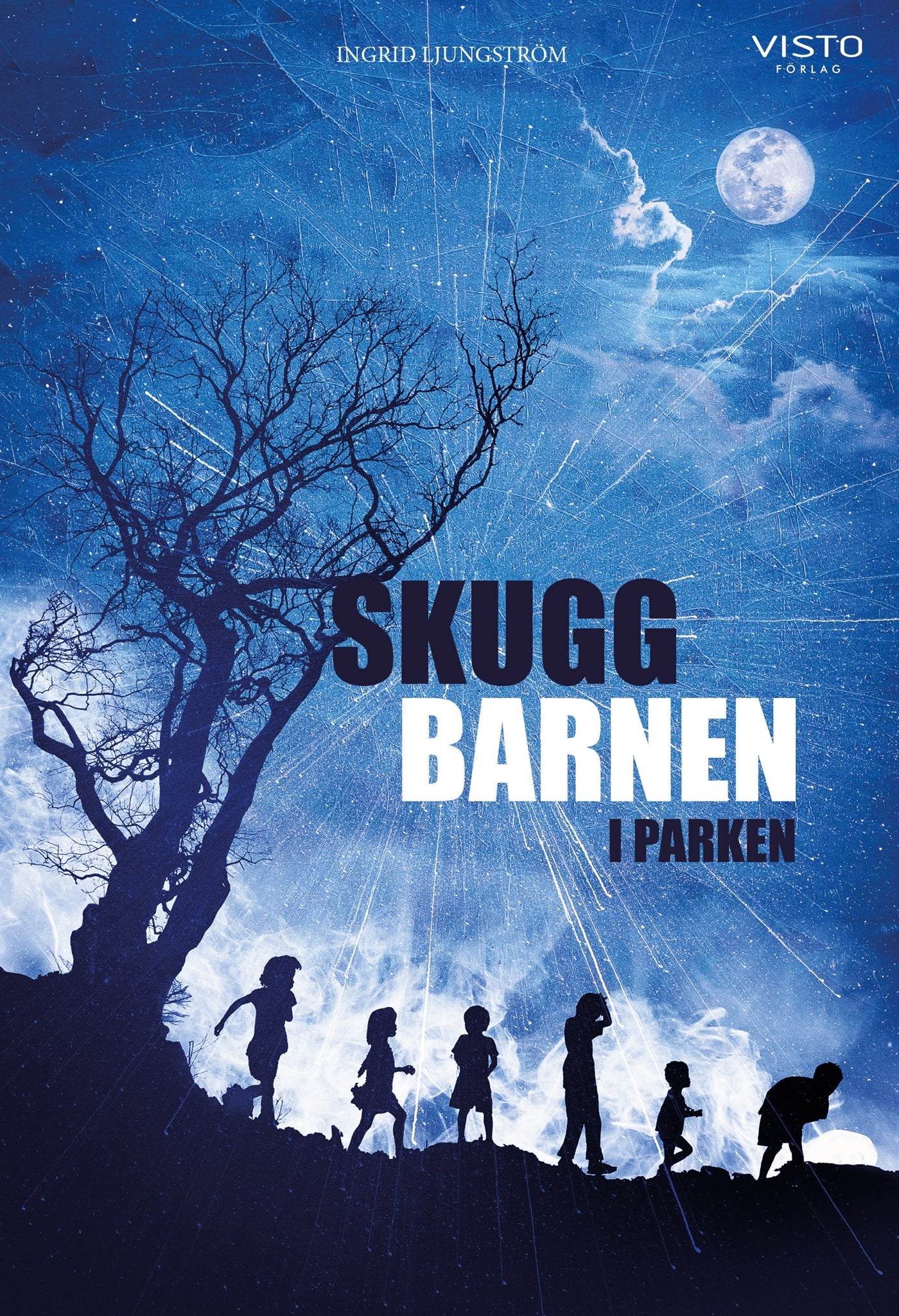 Skuggbarnen i parken – E-bok