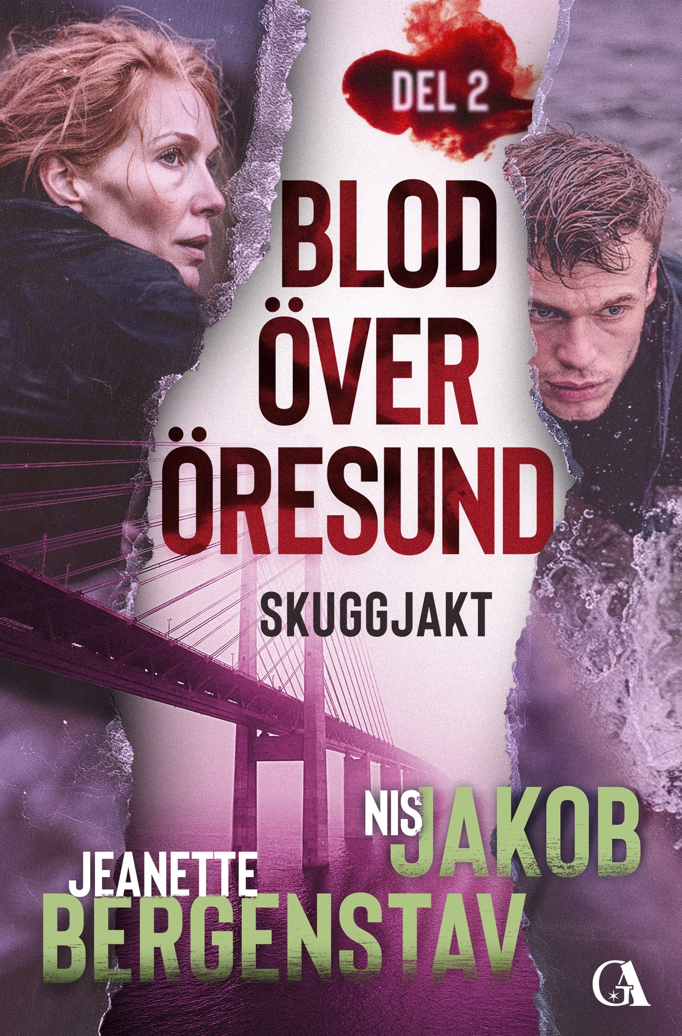 Skuggjakt – E-bok