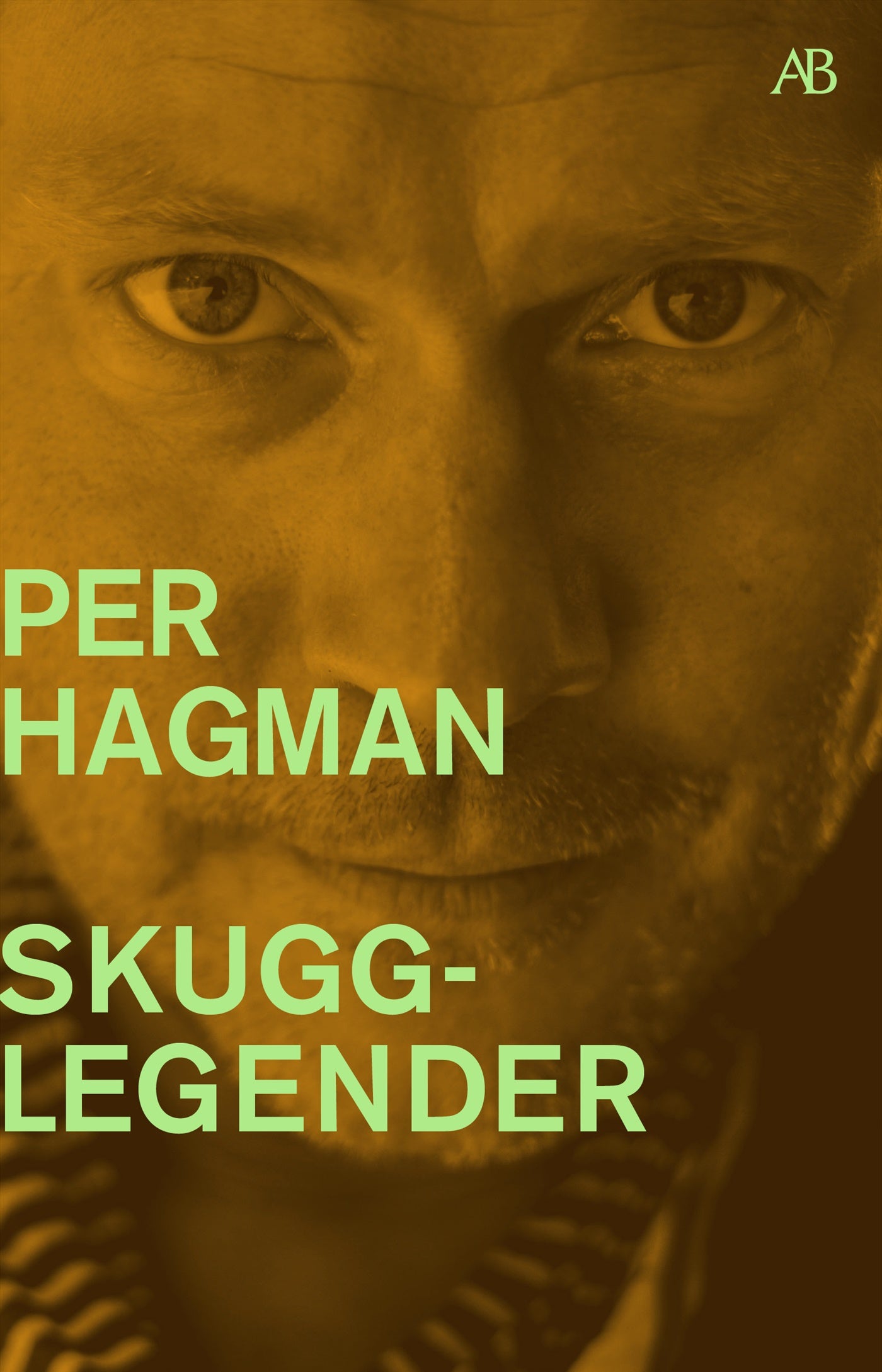 Skugglegender – E-bok