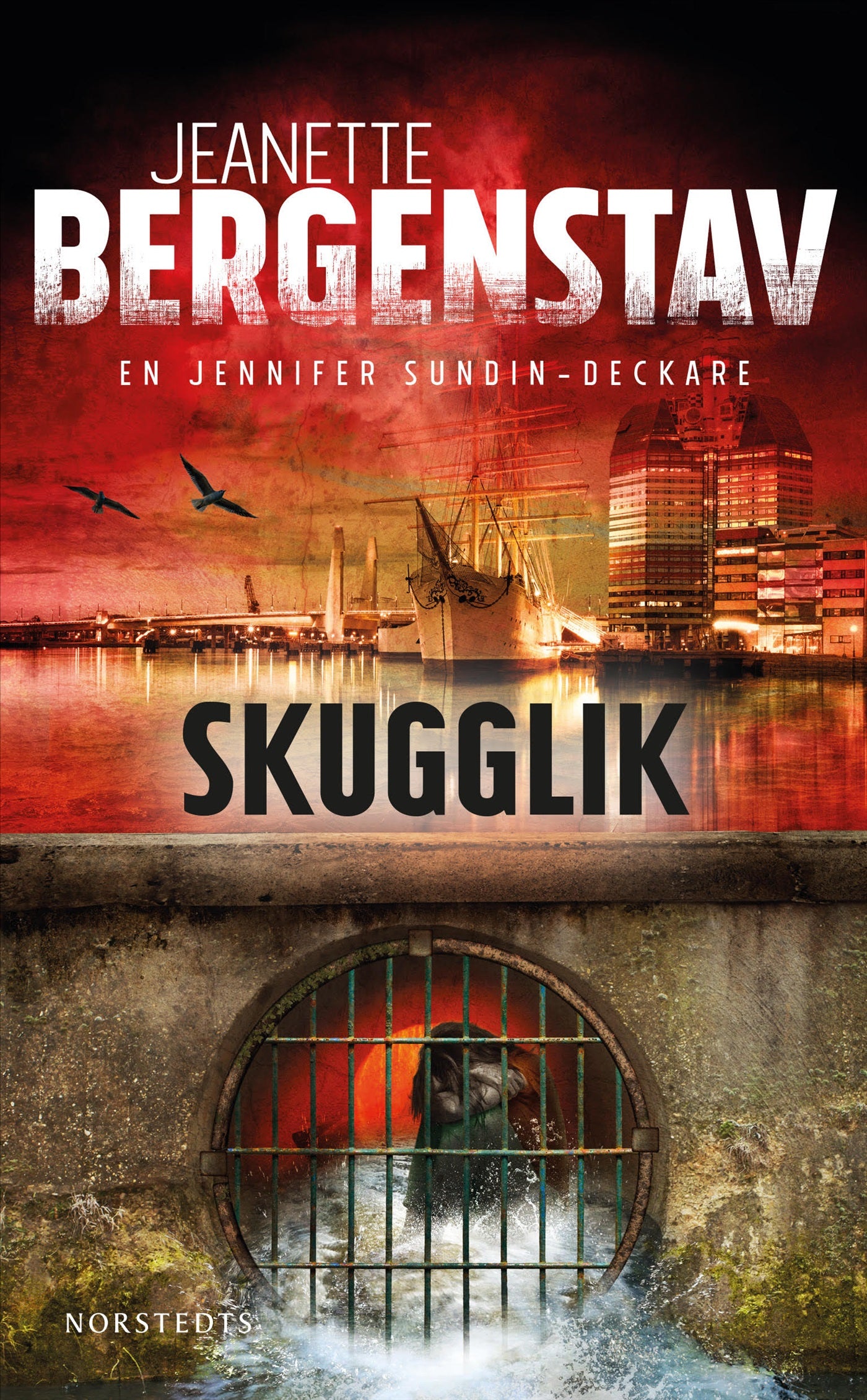 Skugglik – E-bok