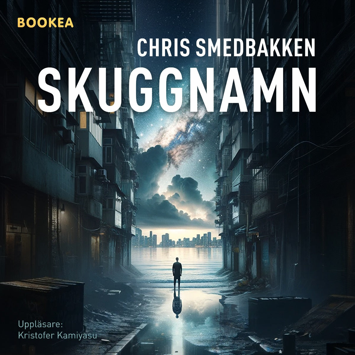 Skuggnamn – Ljudbok