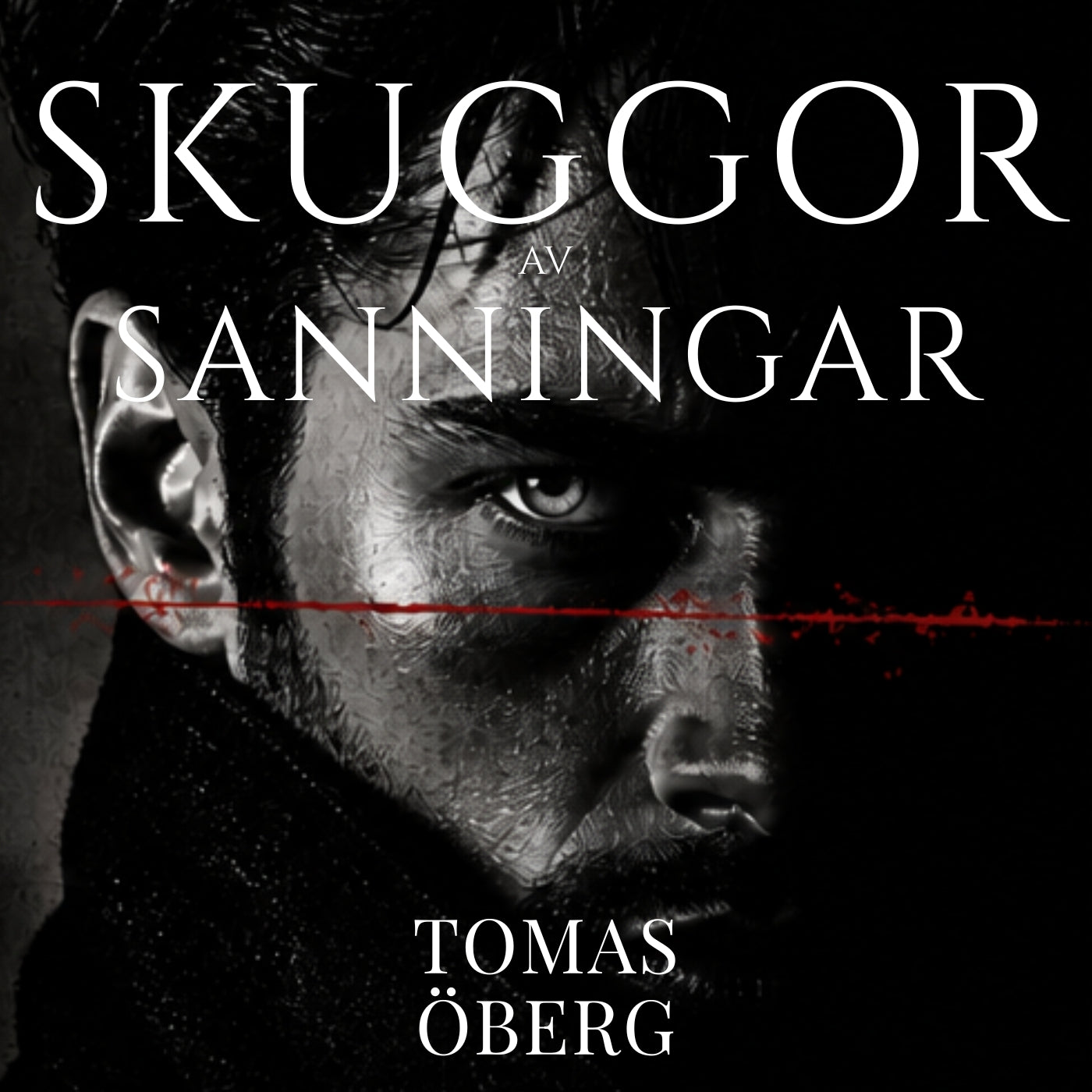 Skuggor av Sanningar – Ljudbok