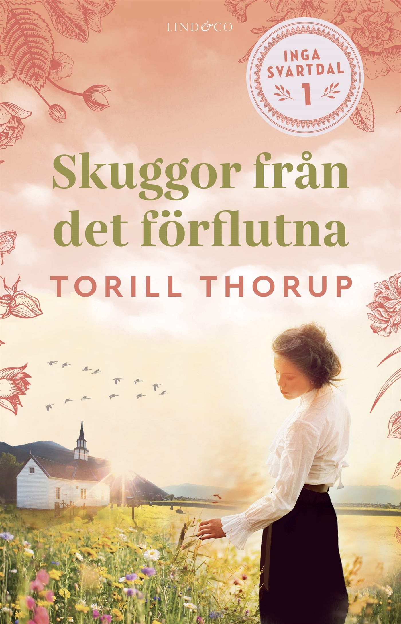 Skuggor från det förflutna – E-bok
